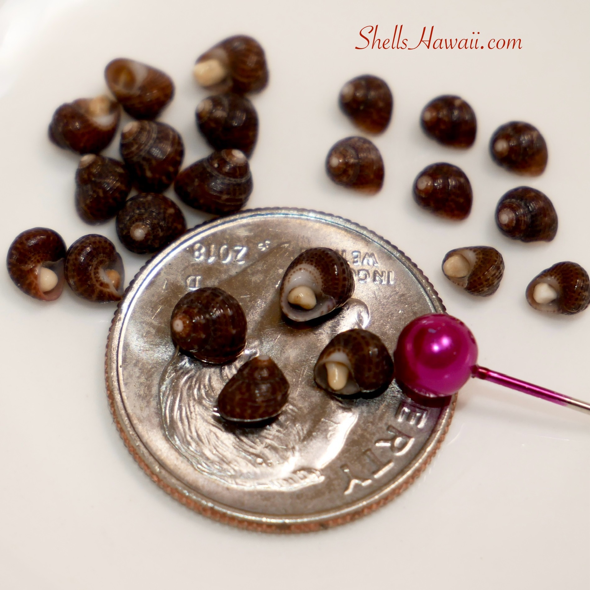 ʻEleʻele — Black