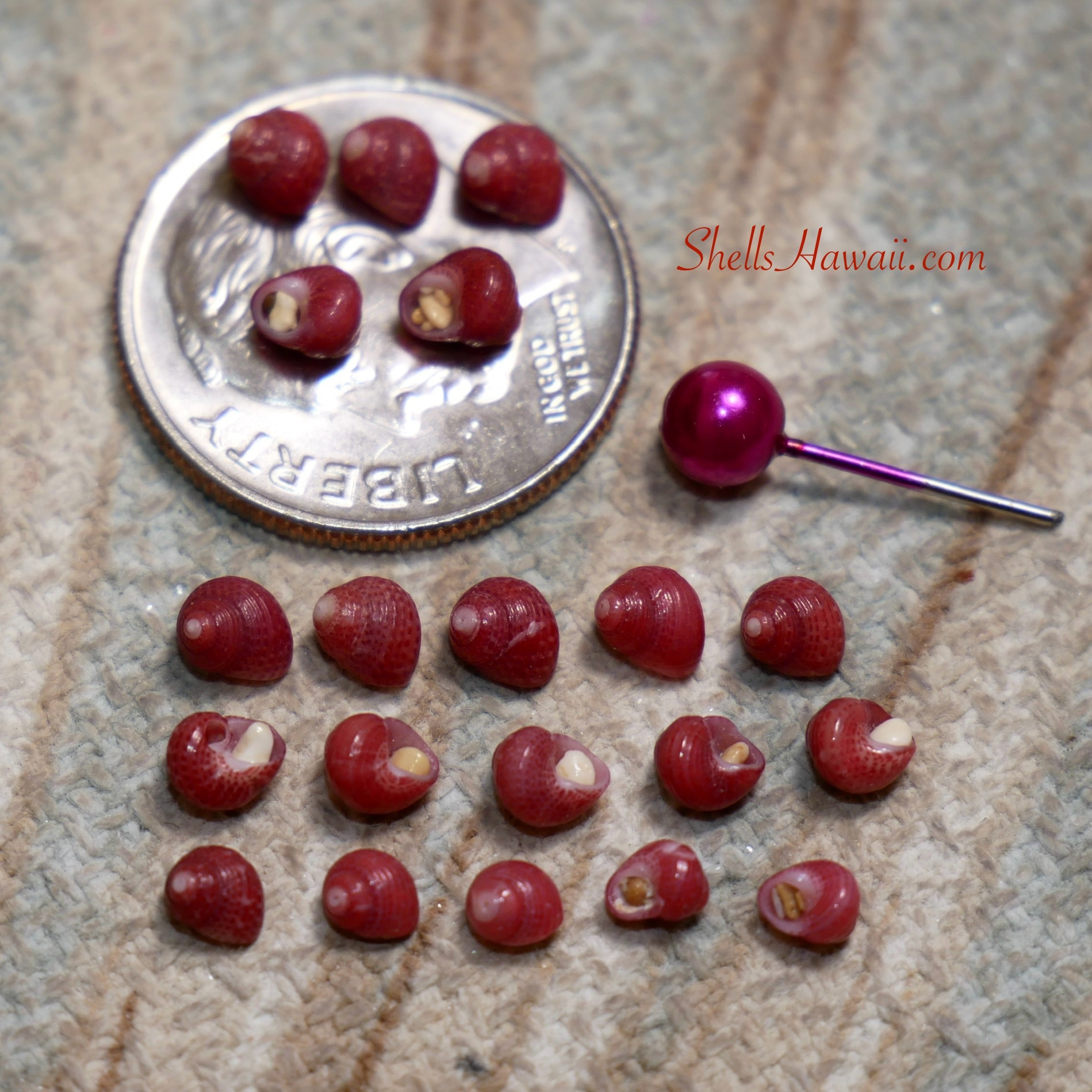 ʻĀkala Wai Pāpipi (Deep Rose Pink)