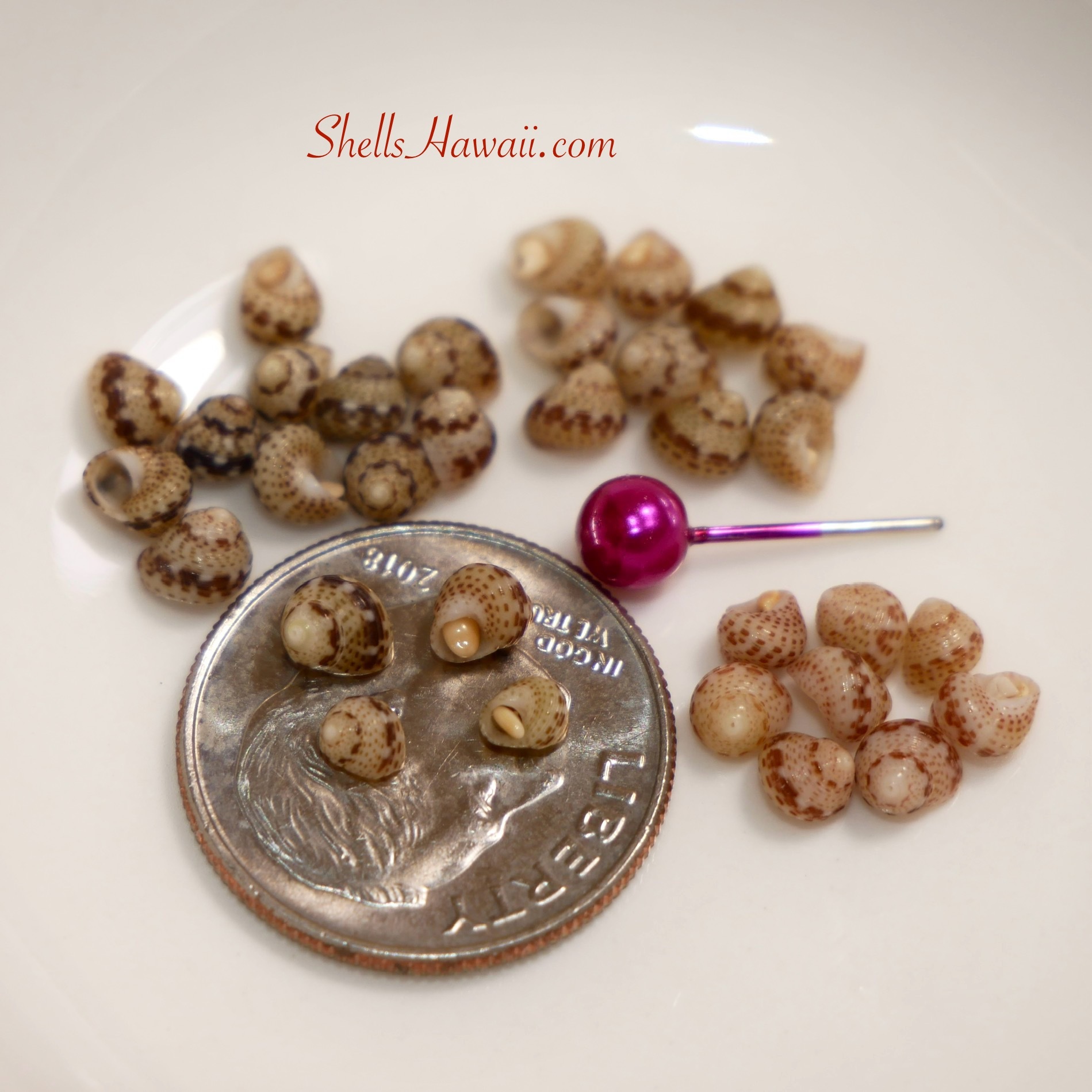 ʻŌmaʻomaʻo — Green