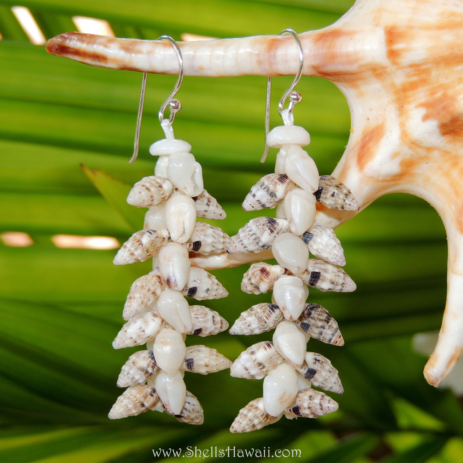 Niʻihau shell earrings made with horn shells and white Momi shells, designed in a traditional Heleconia style Hawaiian shell jewelry pattern, showing layered shell placement and balanced stringing detail