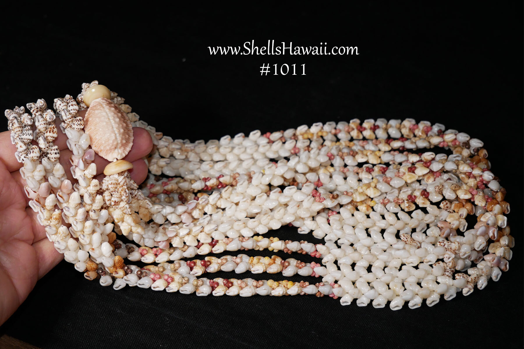 Multi-strand Niʻihau shell lei showing carefully matched Momi shells with consistent size, luster, and spacing, demonstrating craftsmanship, patience, and the skill required to bring shells together into a balanced finished piece.