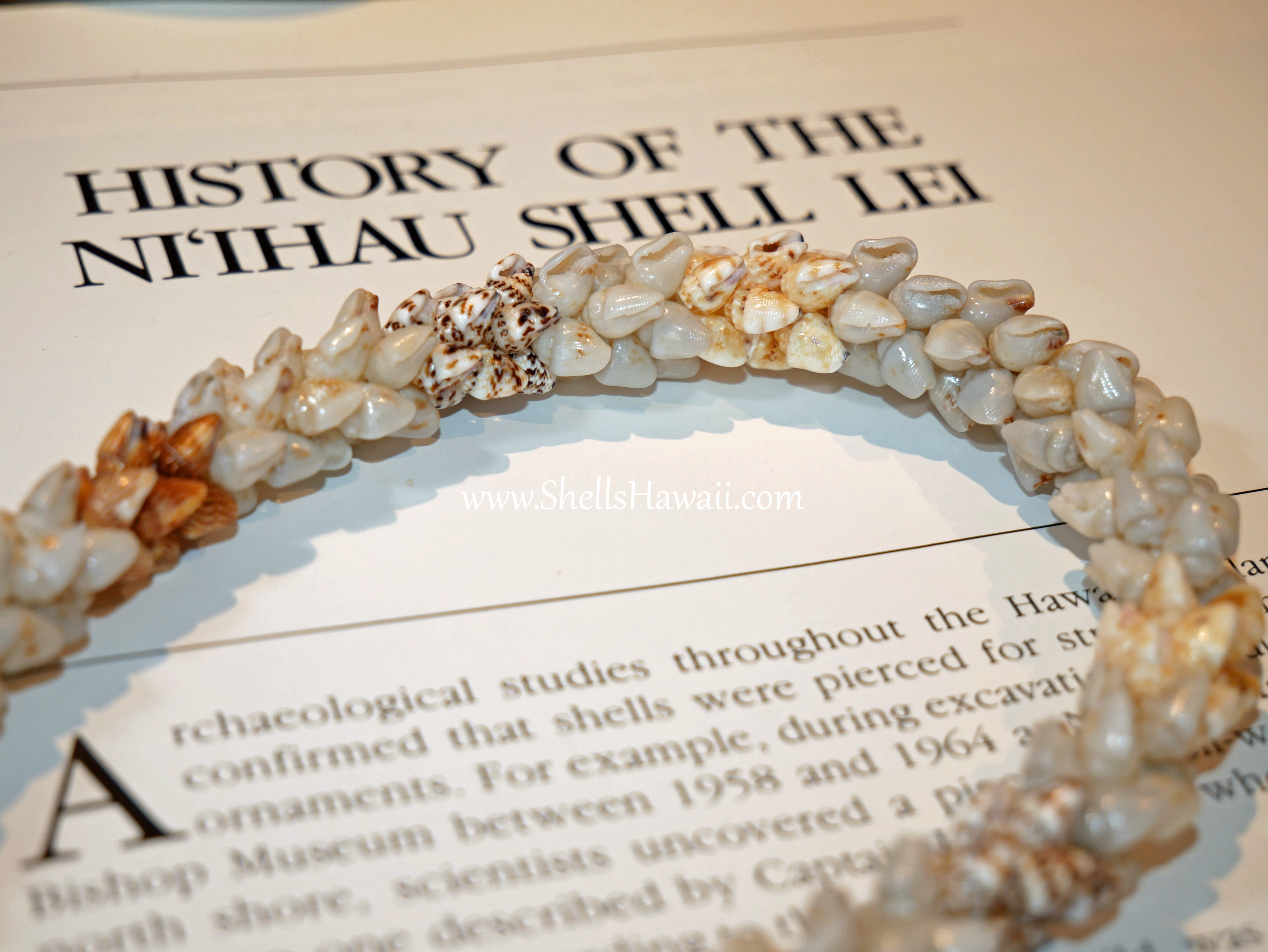 blue, gray Momi pikake style shell necklace 