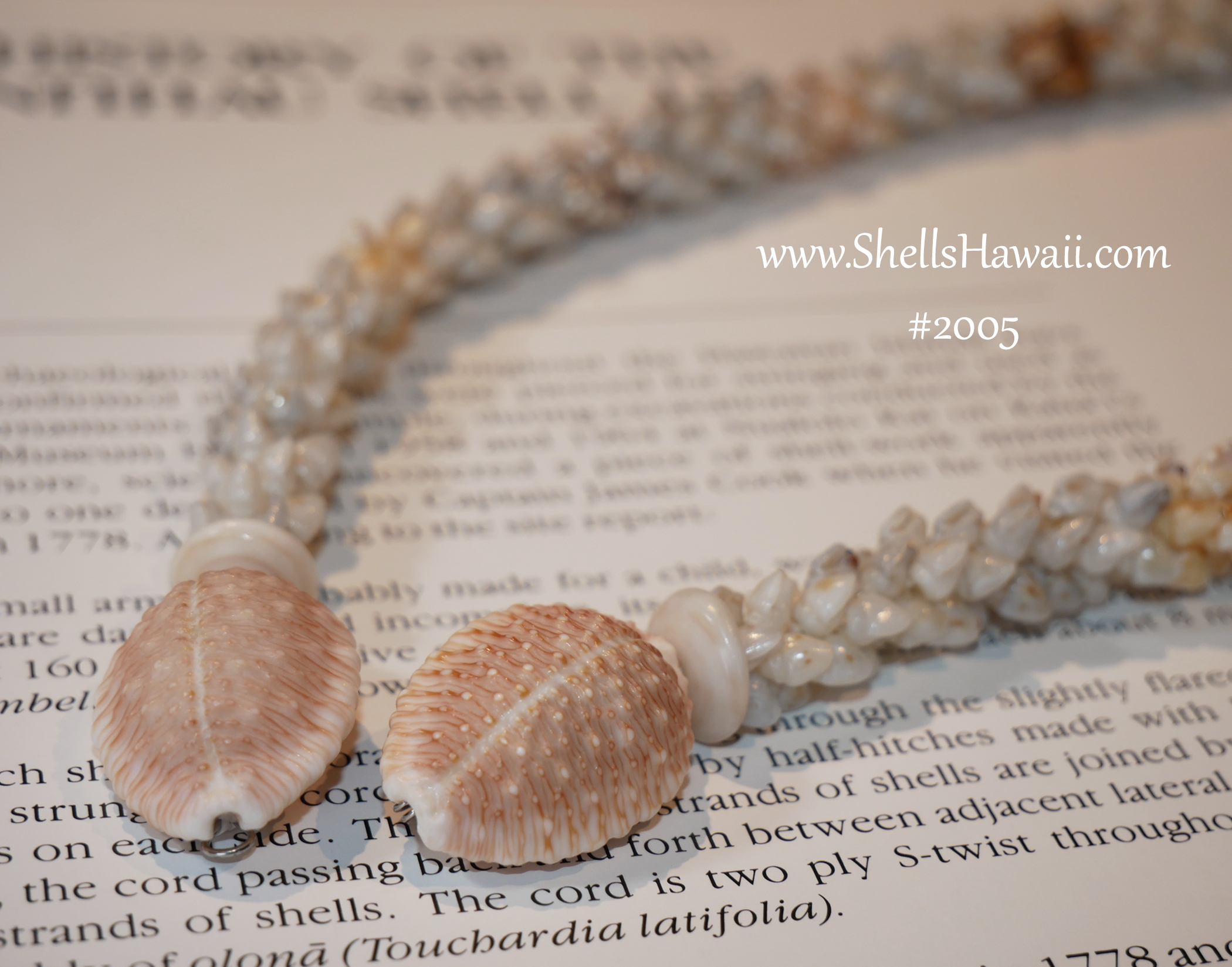 How to add cowrie shell clasp to niihau shell necklace 