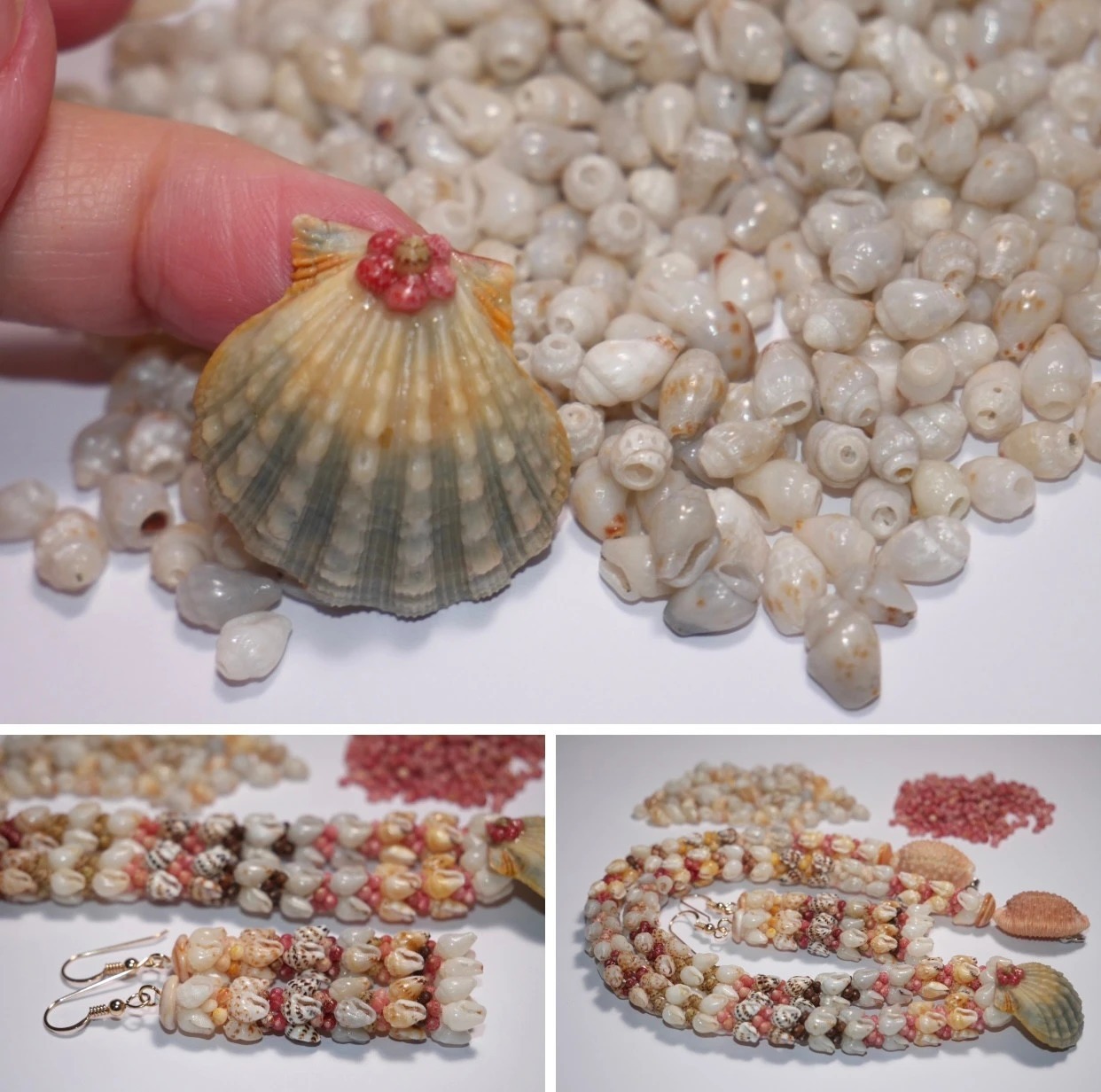 Niʻihau Kipona shell lei and matching earrings featuring Momi and Kahelelani shells with a rare blue Hawaiian Sunrise shell centerpiece.