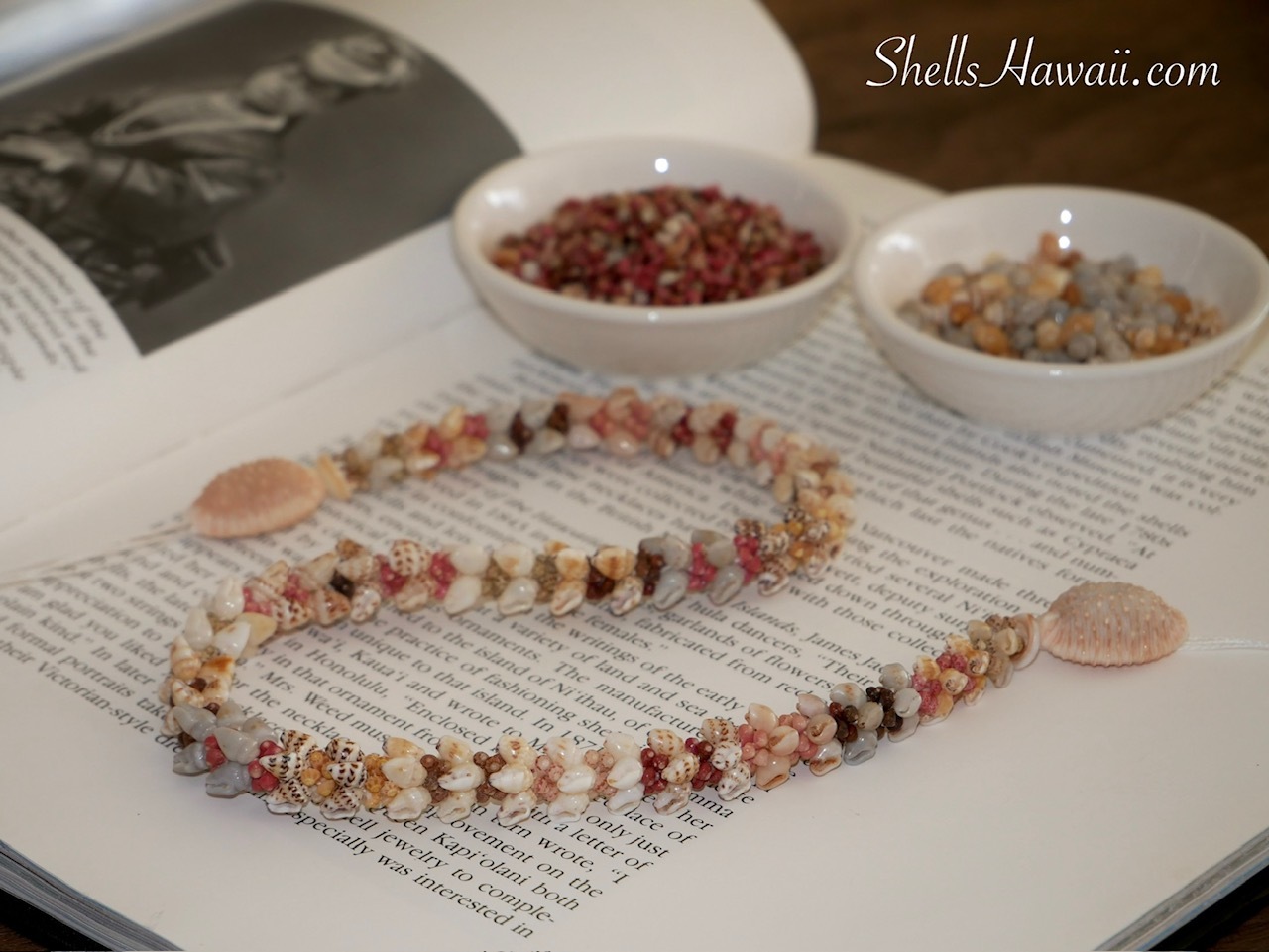 Niʻihau Kipona style shell lei with Momi and colorful Kahelelani shells displayed with brown granulated cowrie shells to show the traditional clasp option.