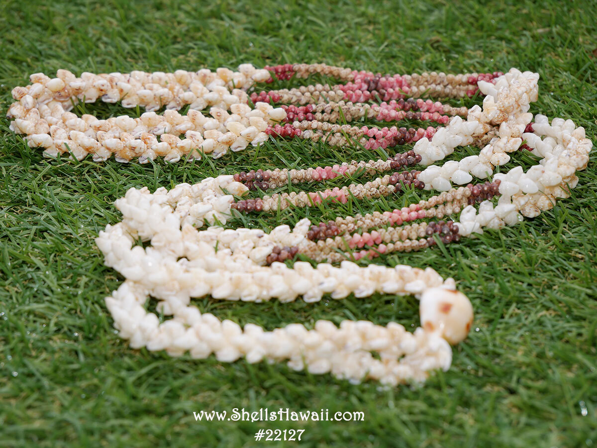 Kipona style Niʻihau shell lei made with momi and kahelelani shells mixed shell Hawaiian jewelry design