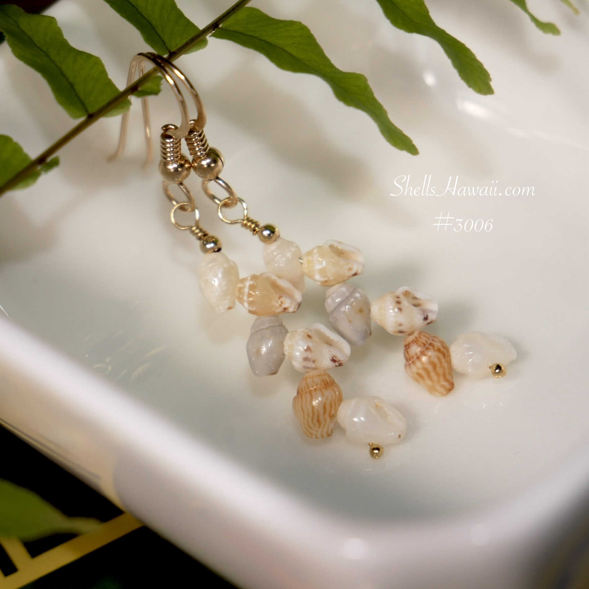 Dainty Niʻihau shell earrings made with rare color Momi shells in 14k gold filled, showcasing soft white, honey striped, and light grey tones in a minimalist handcrafted design.