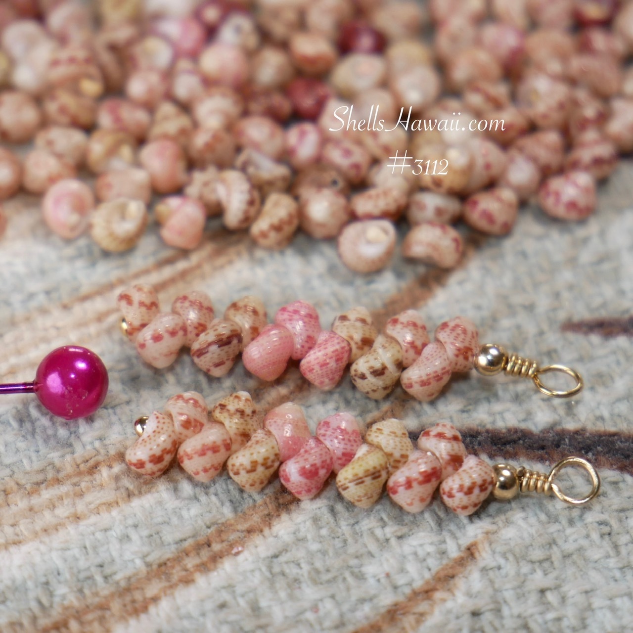 Close-up of Kahelelani shells from Hawaiʻi arranged on a 14k gold filled head pin, showing size comparison and highlighting the shells&rsquo; natural color, quality, and soft luster in a minimalist earring design.