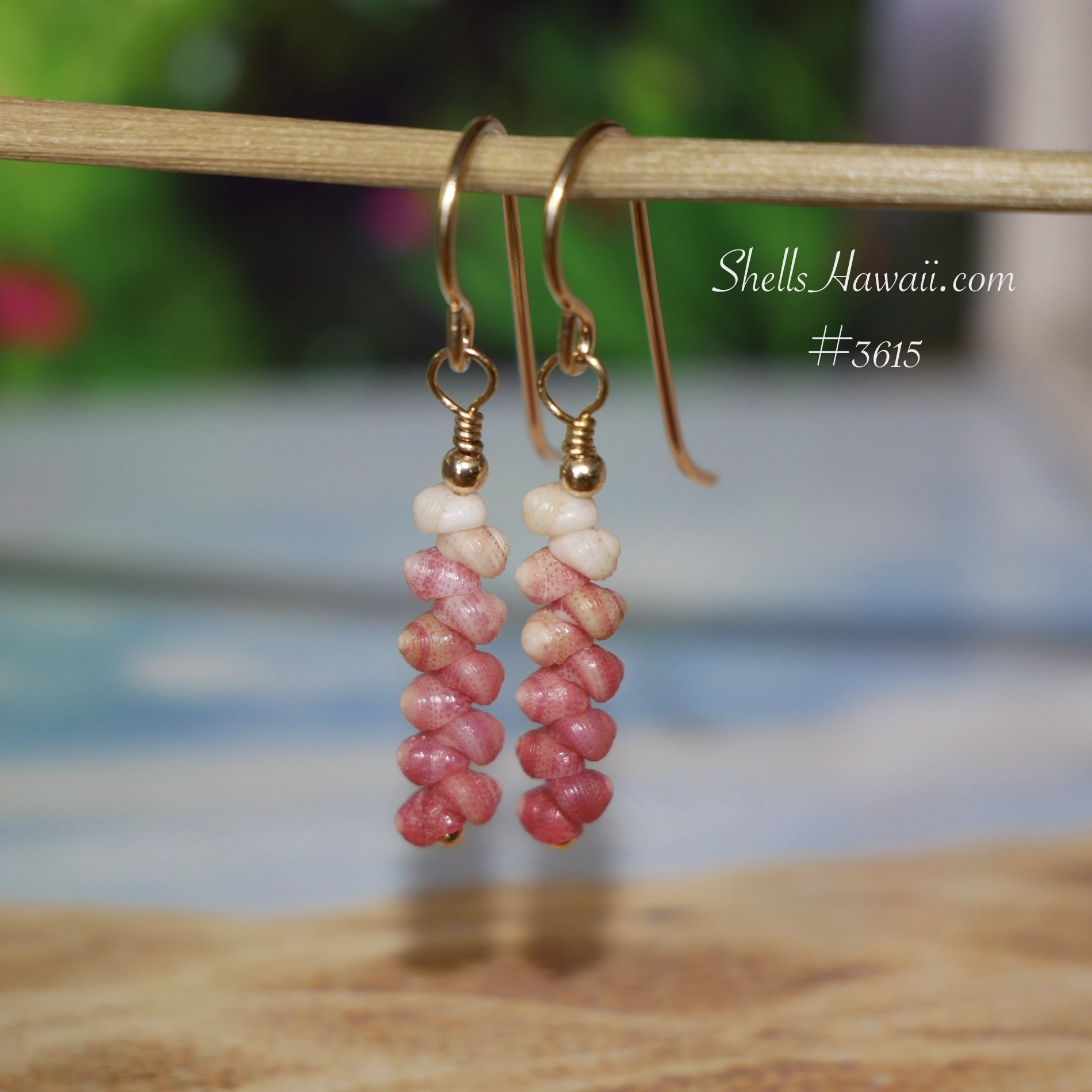 Front view of minimalist Niʻihau shell earrings featuring size 10 genuine Kahelelani shells in a soft ombre pattern of red, pink, and off white tones. Close-up detail shows the natural shell color flow, delicate matching, and traditional Hawaiian shell jewelry craftsmanship with 14k gold filled hooks.