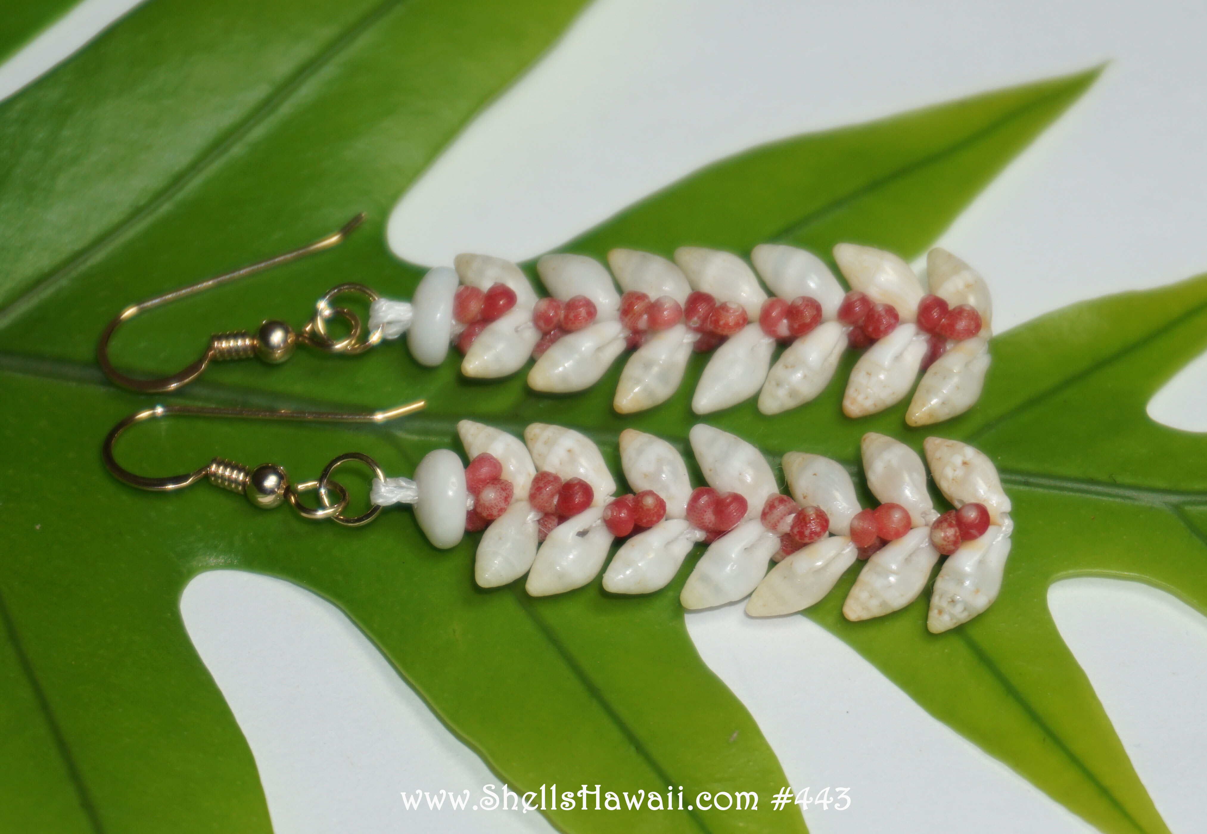Niʻihau shell earrings made with Laiki shells and Kahelelani shells using the Heleconia style technique, showing layered shell placement, even spacing, and traditional Hawaiian shell jewelry craftsmanship