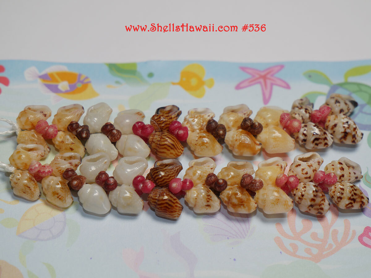 Heleconia style Niʻihau shell earrings handmade with Momi and Kahelelani shells, demonstrating how hole placement and poking angles affect flow and texture in Hawaiian shell jewelry