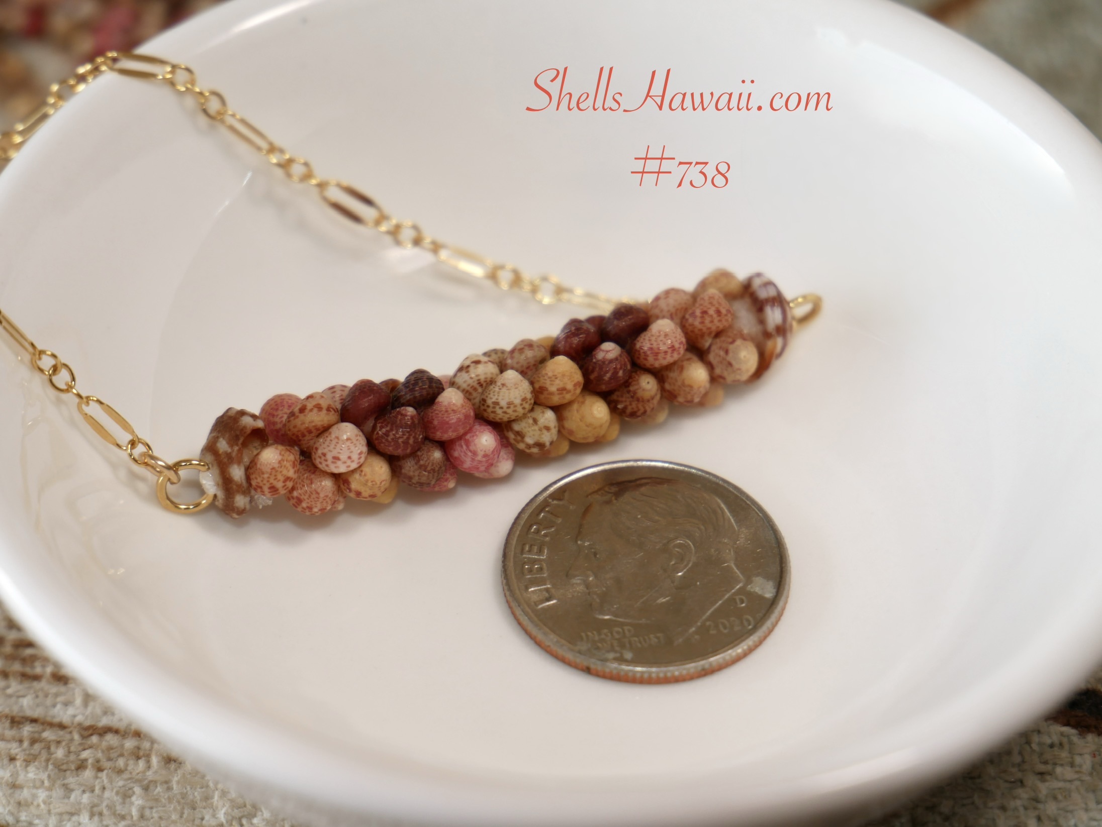 Close-up of a minimalist Poepoe style pendant handcrafted with large Kahelelani shells from Kauaʻi on a 14k gold-filled chain. Photo shown beside a U.S. dime for size comparison, displaying the shells' natural matte finish without mineral oil applied.