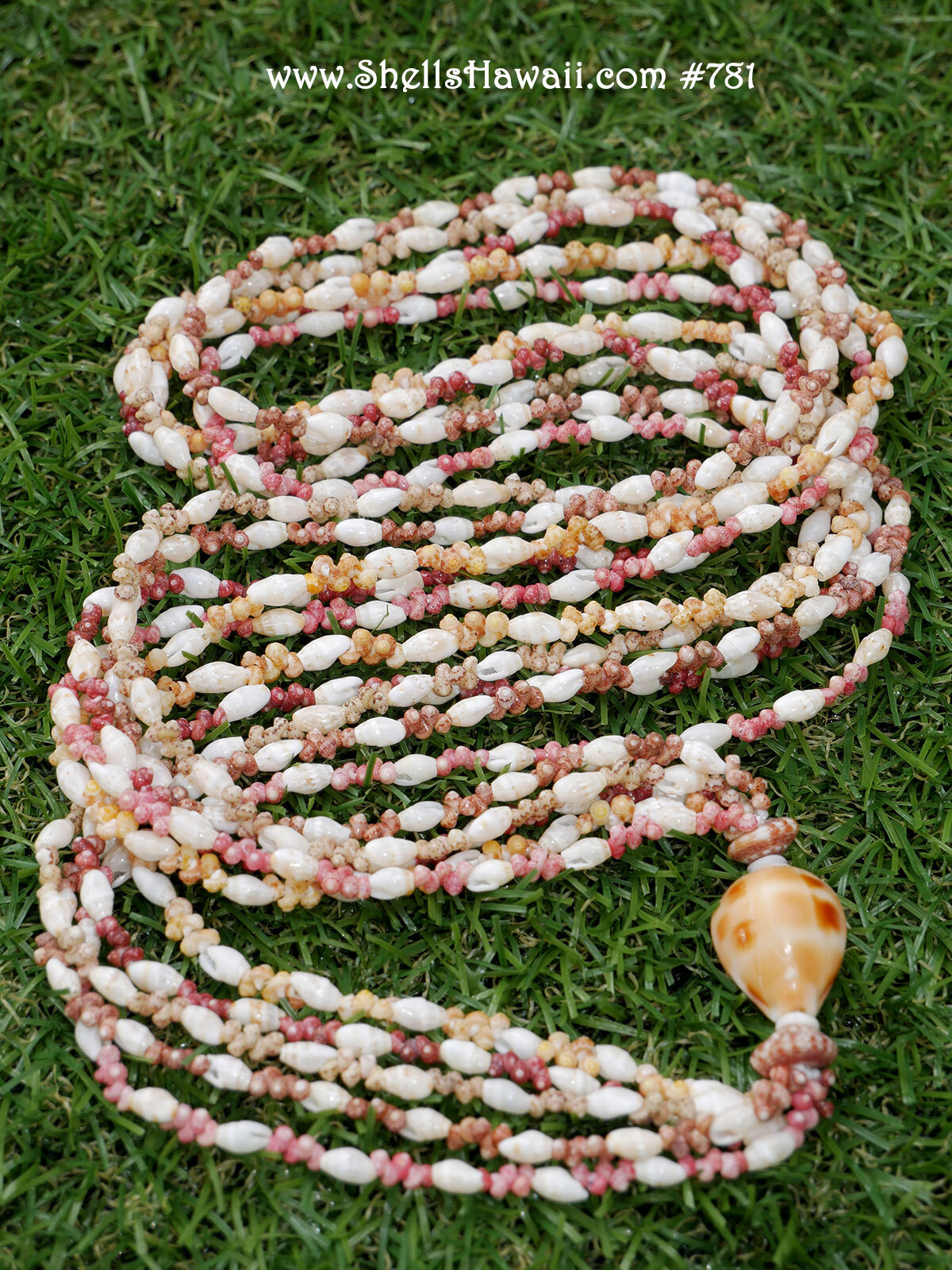 Kipona style Niʻihau shell lei using laiki and kahelelani shells mixed shell Hawaiian jewelry design