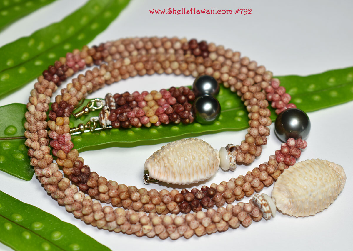 kahelelani poepoe style shell necklace 
