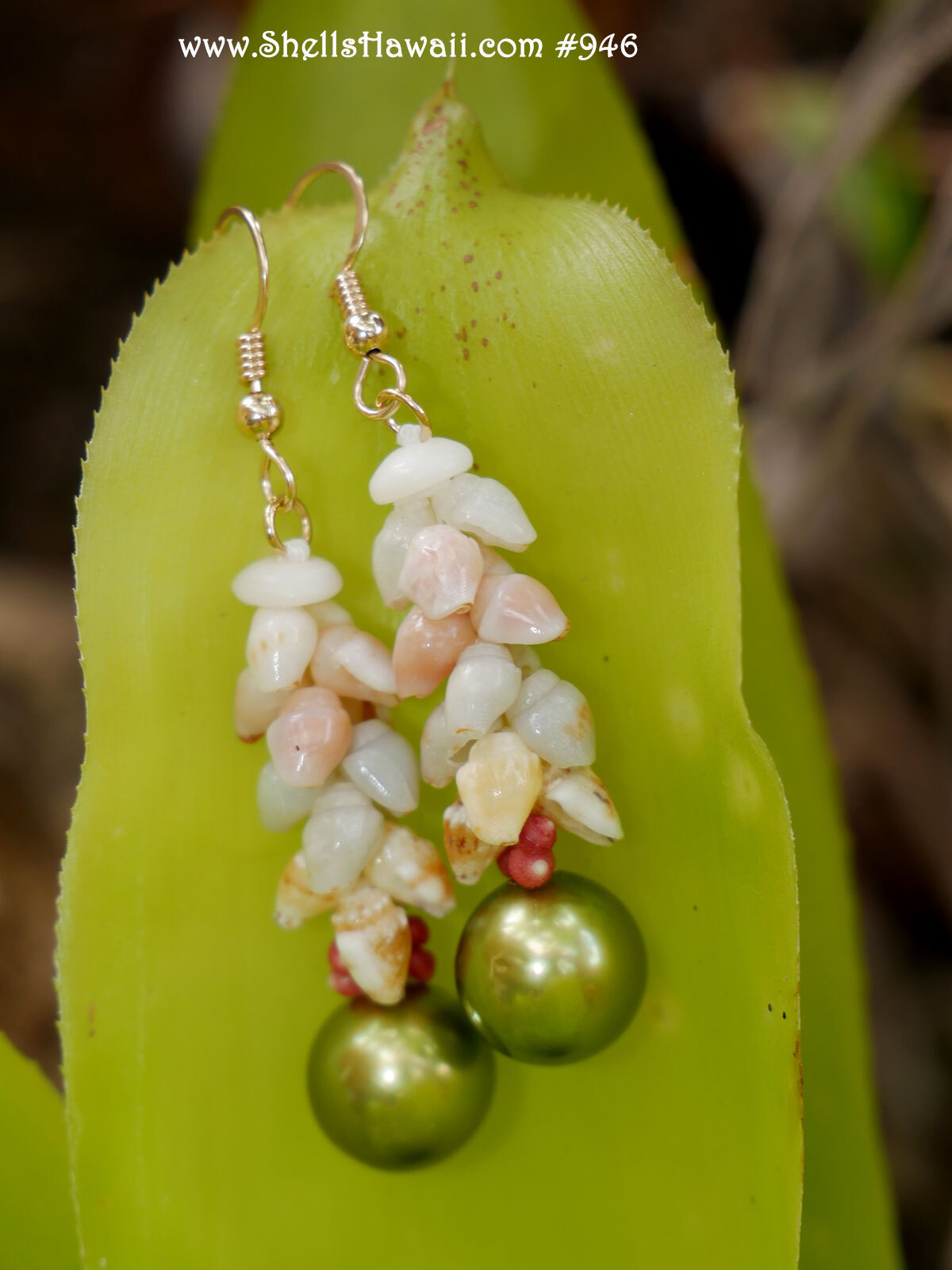 Traditional Hawaiian shell earrings featuring pistachio Tahitian pearls with genuine Momi and Kahelelani shells.