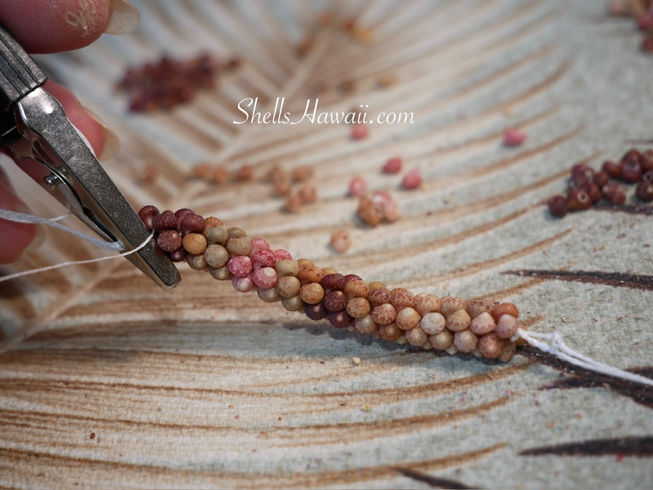Close-up of the center Poepoe section beginning to take shape as matching Kahelelani shells are twisted and woven together by hand for a handmade Hawaiian shell lei.
