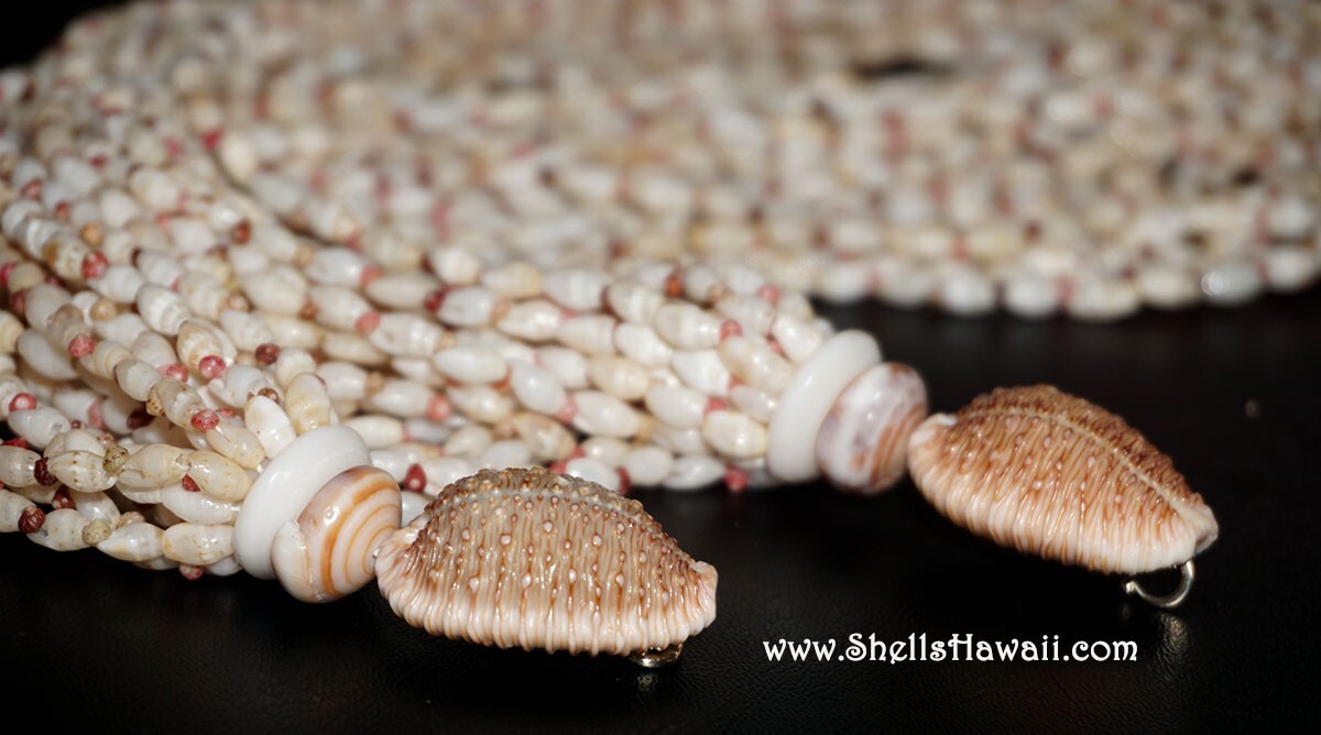 Close-up of mature brown granulated cowrie shell clasps with raised textured bumps, finishing a multi-strand Hawaiian shell lei with off-white Momi shells.