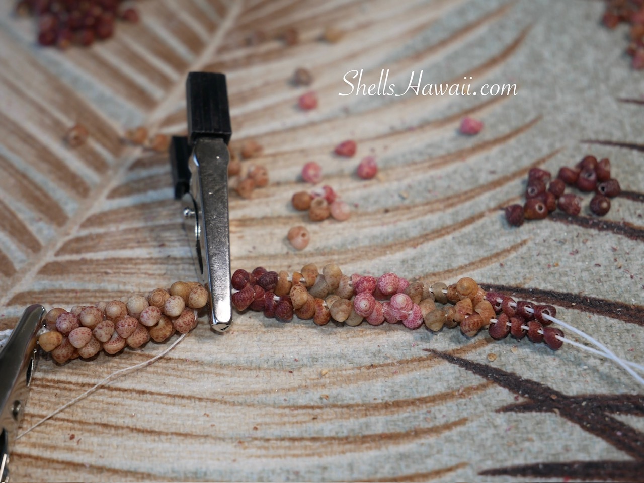 Close-up of the center Poepoe section being woven with matching size 15 Kahelelani shells and Niʻihau Momi shells during the creation of a handmade Hawaiian shell lei.