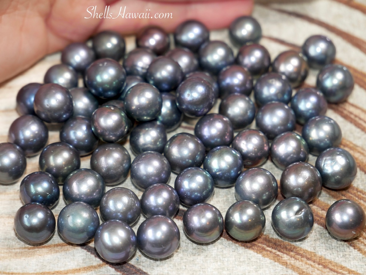 Collection of dark Edison pearls with iridescent overtones and exceptional luster displayed before creating future Niʻihau shell jewelry designs.