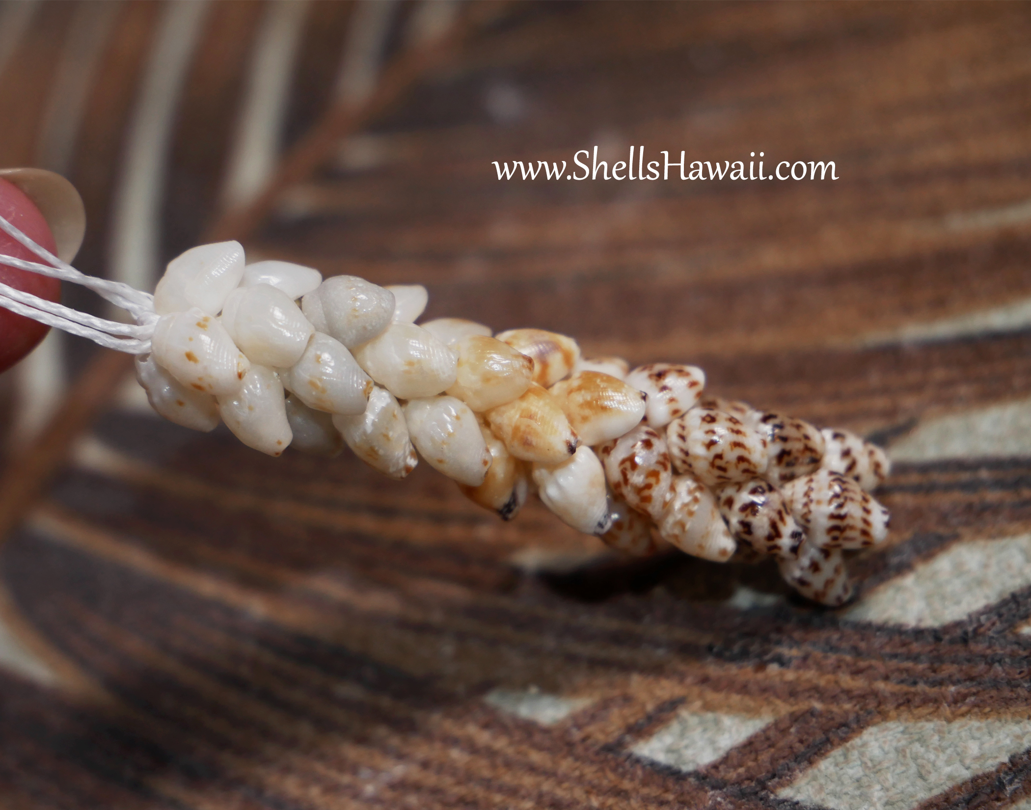 how to make niihau pikake earrings with momi shells