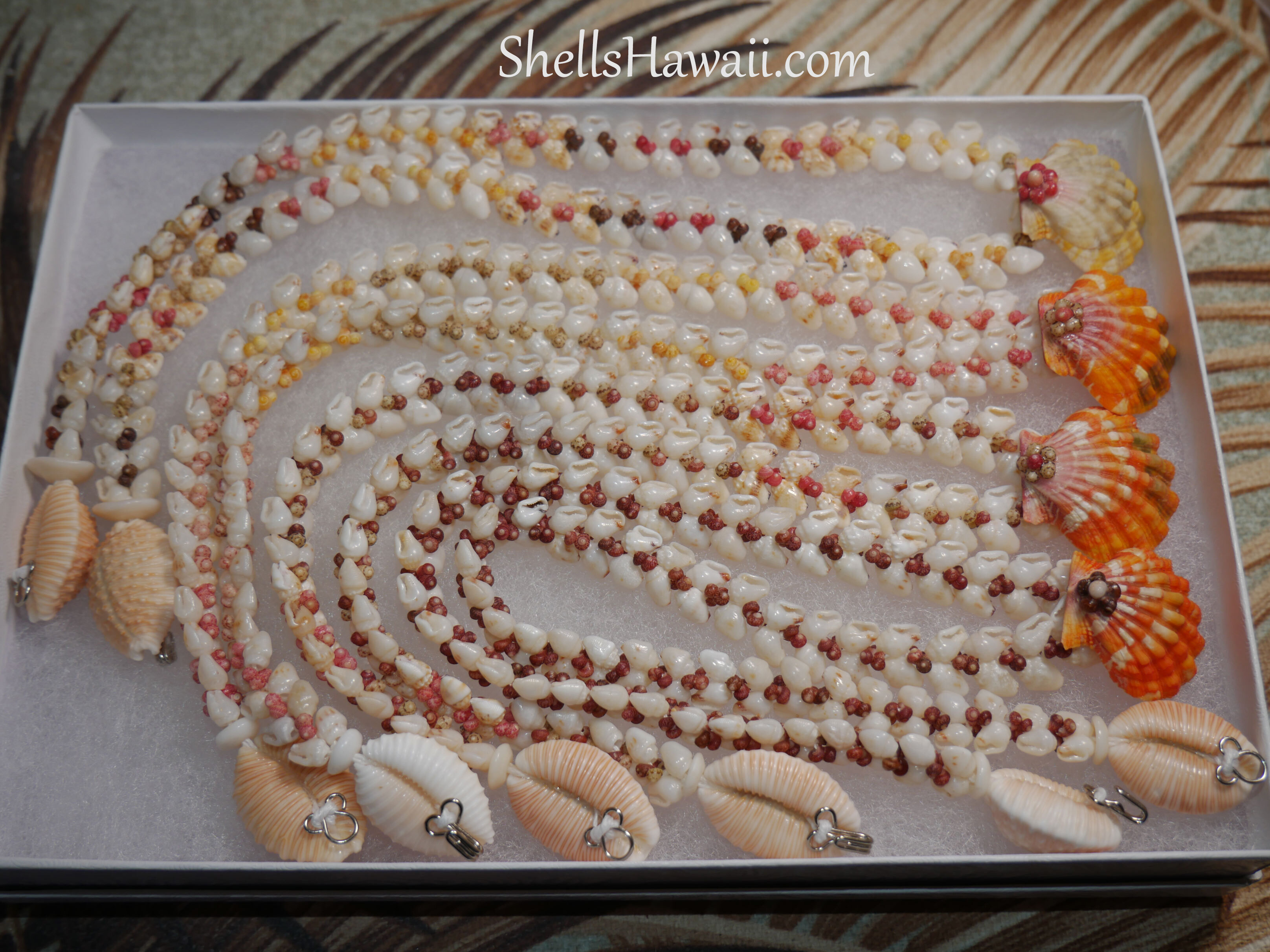 Niʻihau shell lei displayed in a box, featuring Heleconia style sections made with Momi and Kahelelani shells, showing the flowing pattern created by shell placement and poking angles as the design blends naturally with other traditional Hawaiian shell jewelry styles