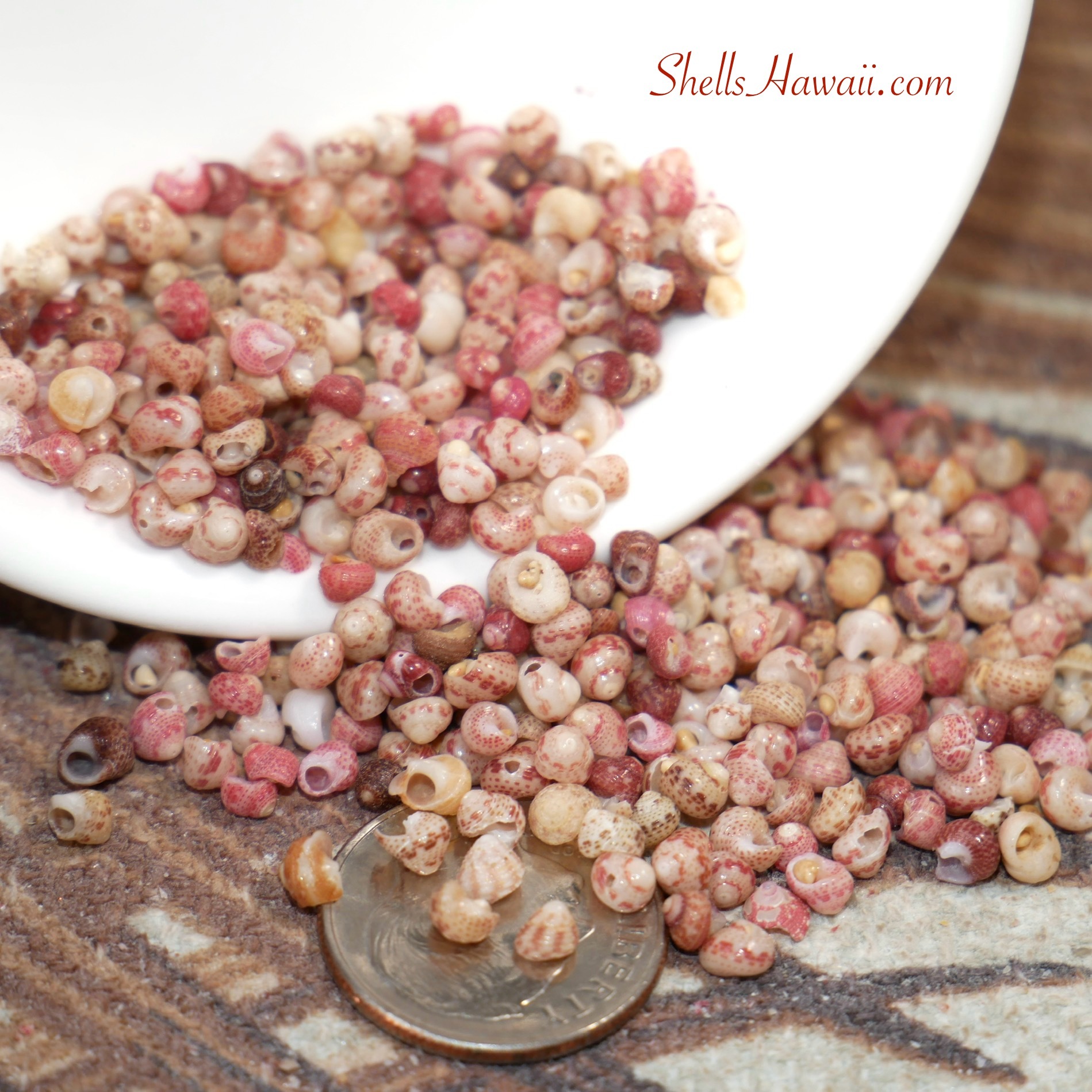 Niihau shells grades