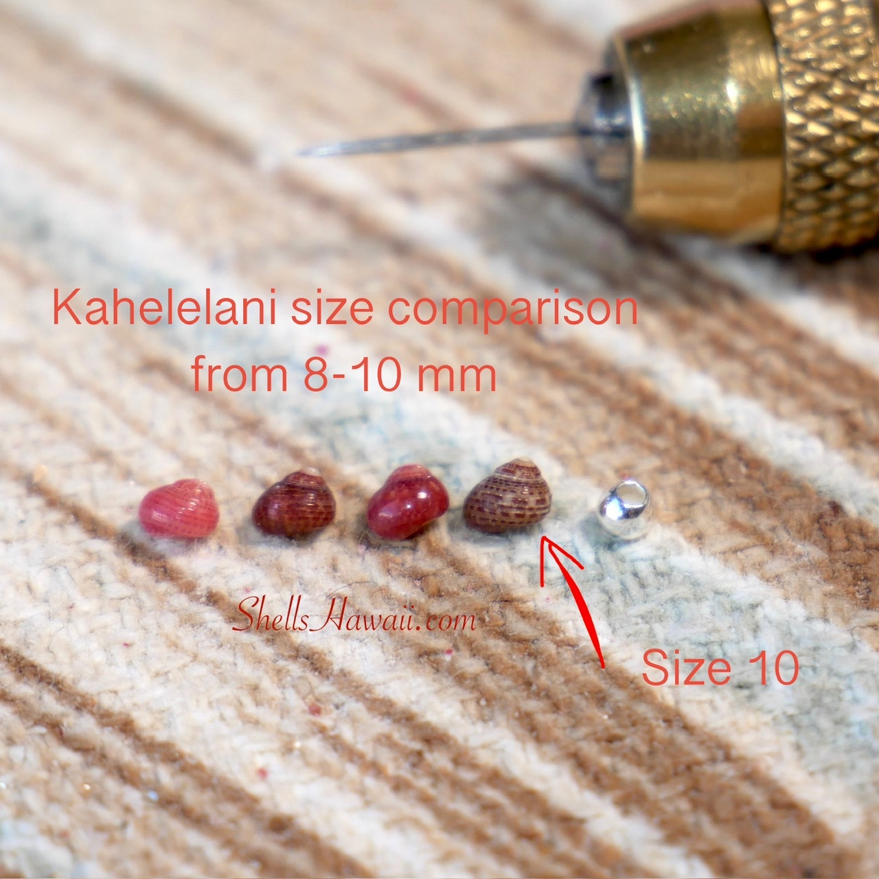 Kahelelani shell size comparison showing sizes 8 to 10 placed next to very small spacer bead, highlighting the tiny scale and natural color variation of Niʻihau shells