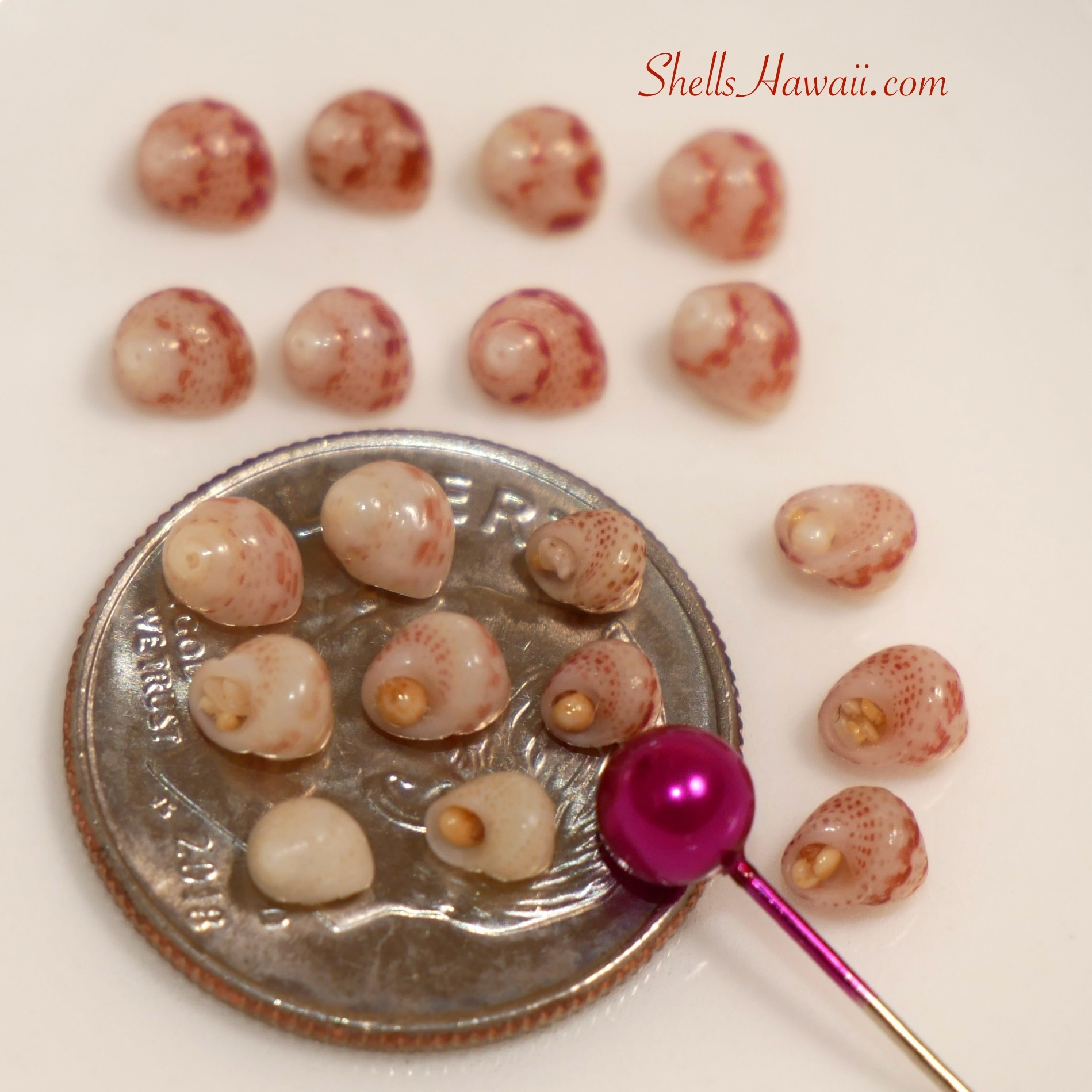 Keʻokeʻo — Natural White