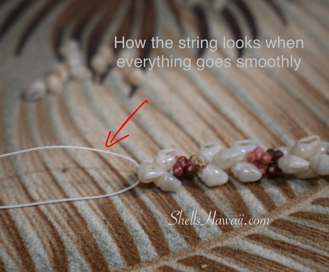 Niʻihau shell bracelet showing smooth and straight string when shells are not undone, making threading easier