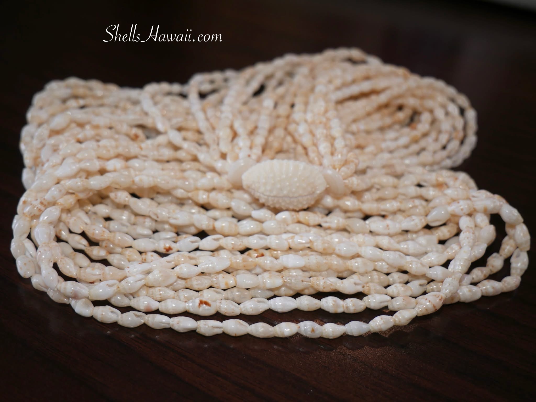 close up laiki shell lei 