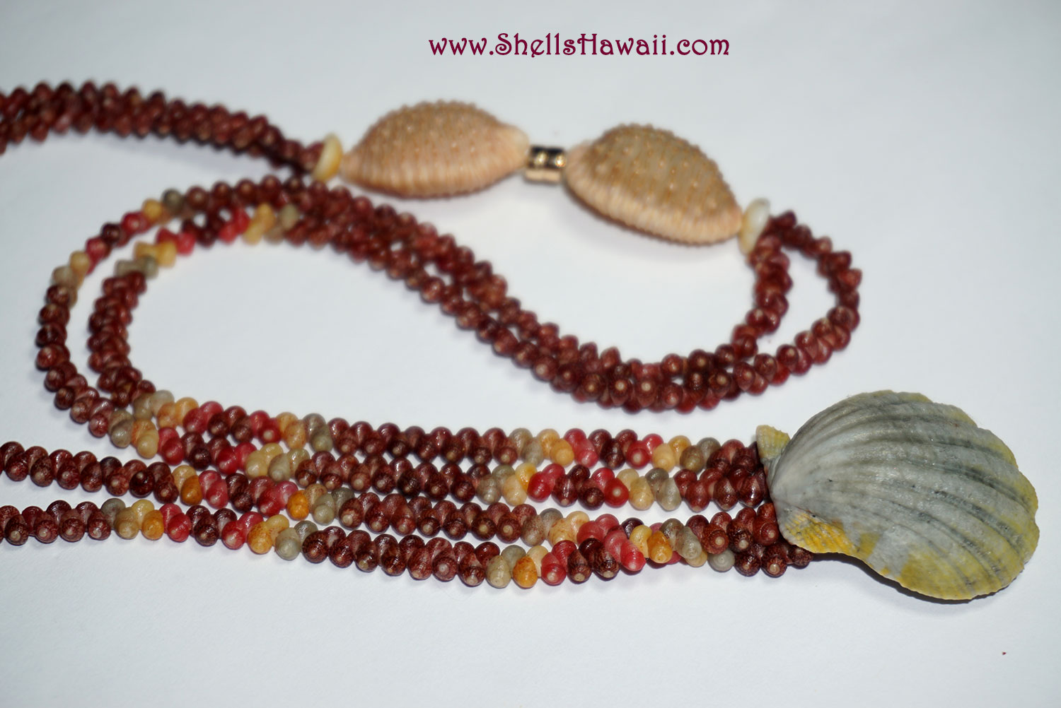 **ALT:** Brown granulated cowrie shell clasps on a double single-strand Manuʻa Loa-style lei featuring rare gray, orange, burgundy, and red Kahelelani shells from Kauaʻi with a blue-gray sunrise shell pendant.