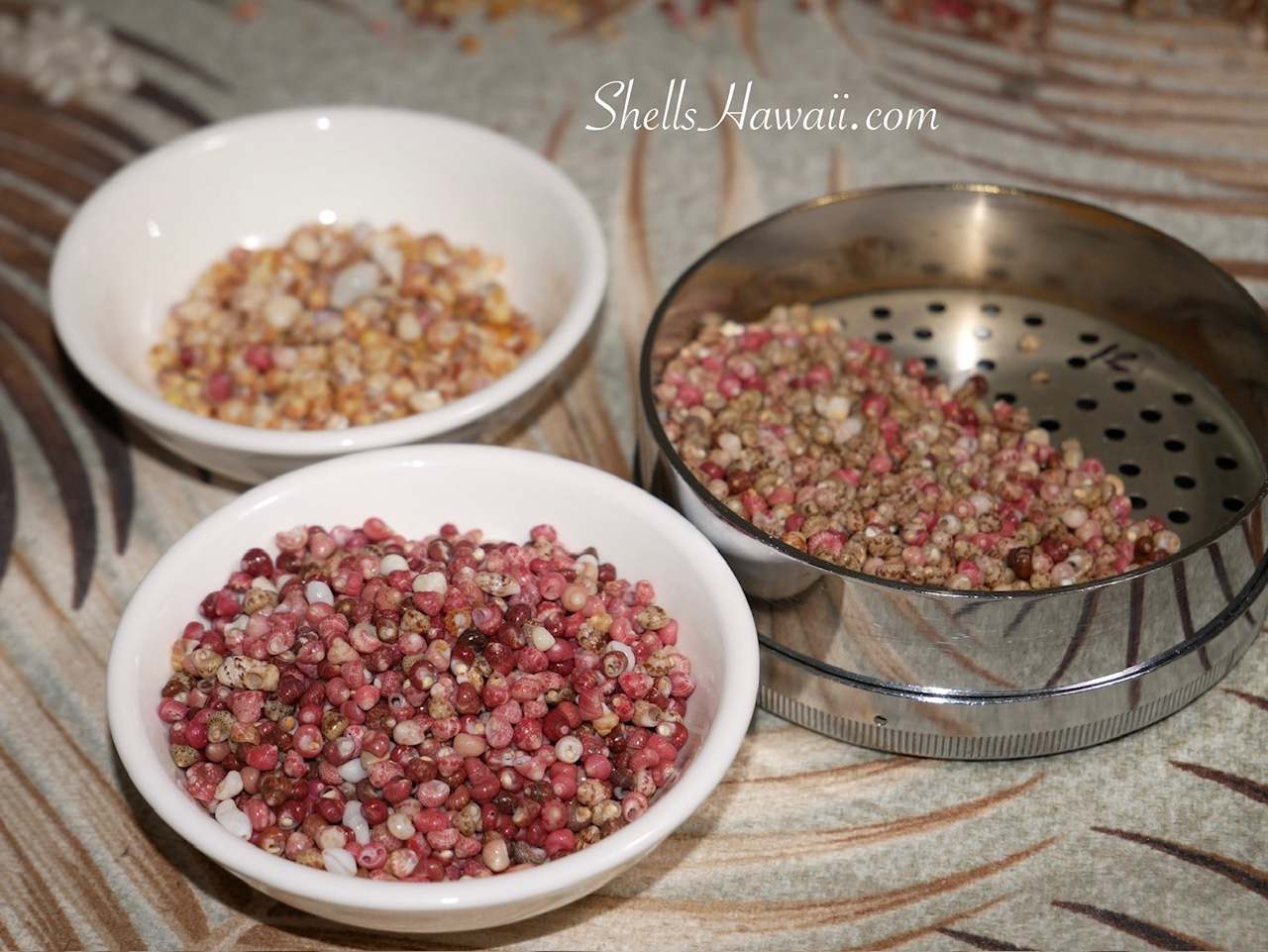 Mixed-color Niʻihau Kahelelani shells in natural pink, burgundy, cream and brown shades being sorted by color and size for a Kipona style shell lei.