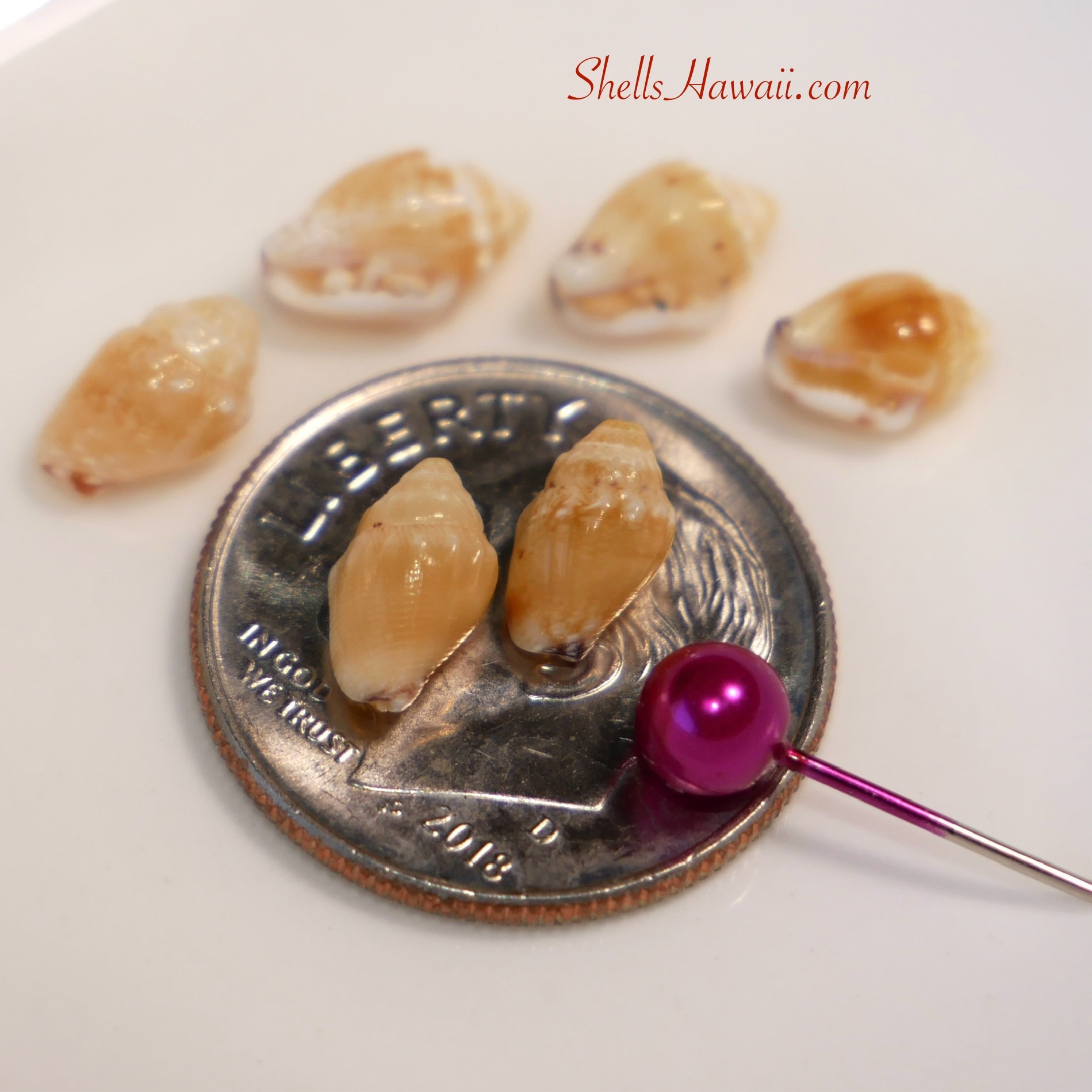 momi lenalena maika&lsquo;i