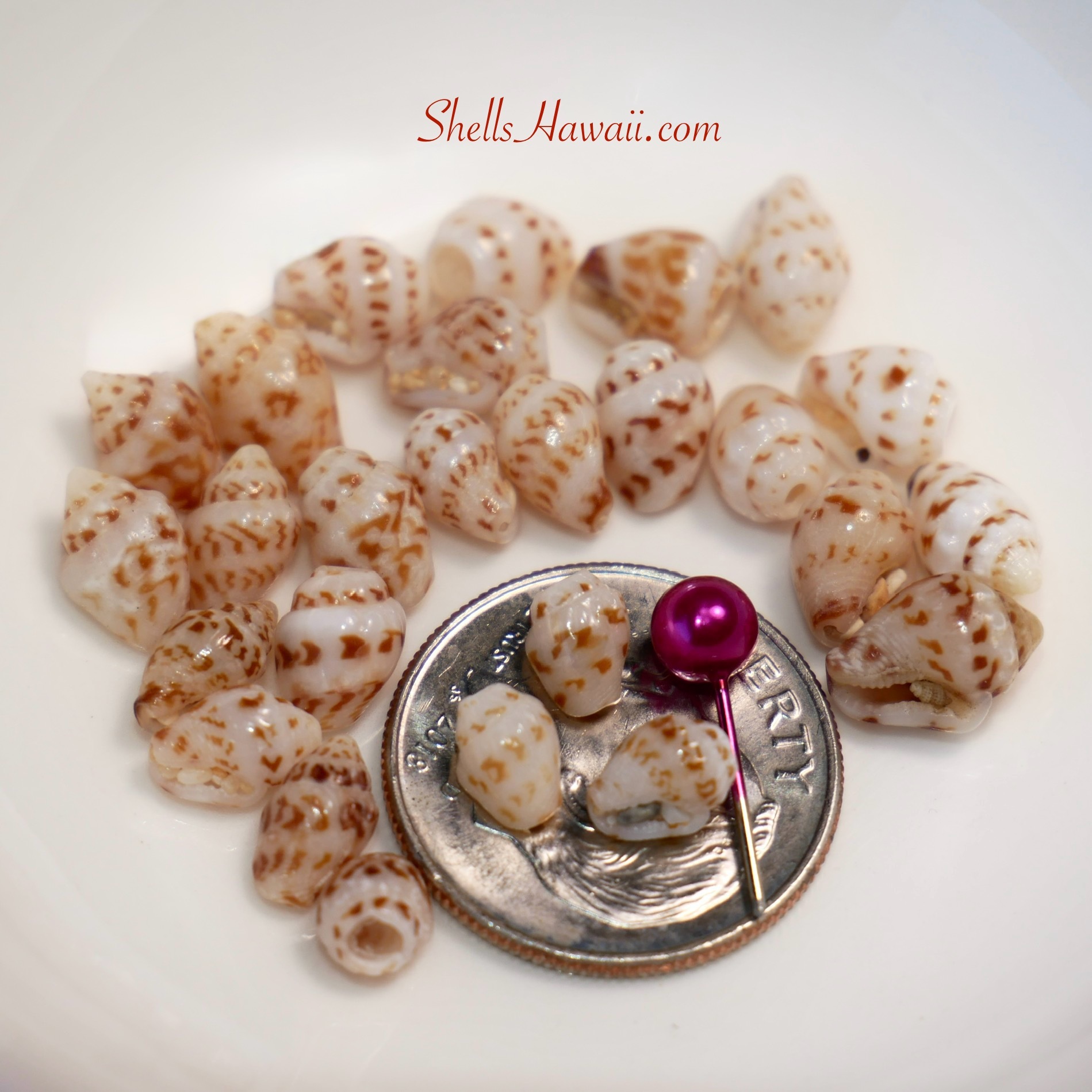 momi ‘ōnikiniki ‘āhiehie