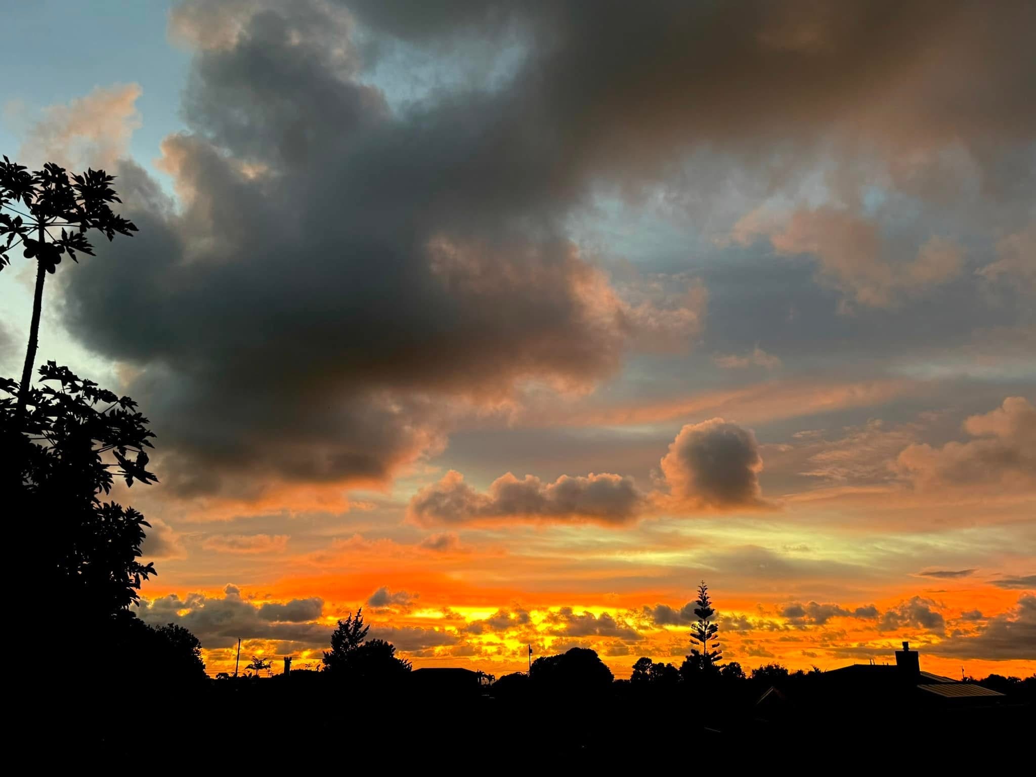 Sunrise over Kauaʻi valley,” “Shell-stringing in progress
