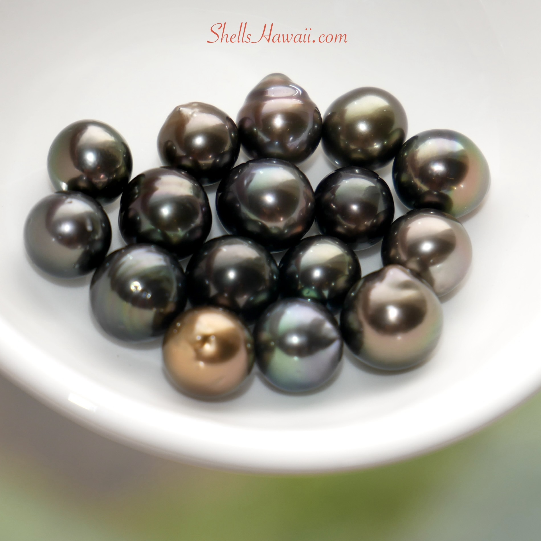 Natural Tahitian pearl color varieties including black, gray, silver, green, peacock, bronze, and aubergine.