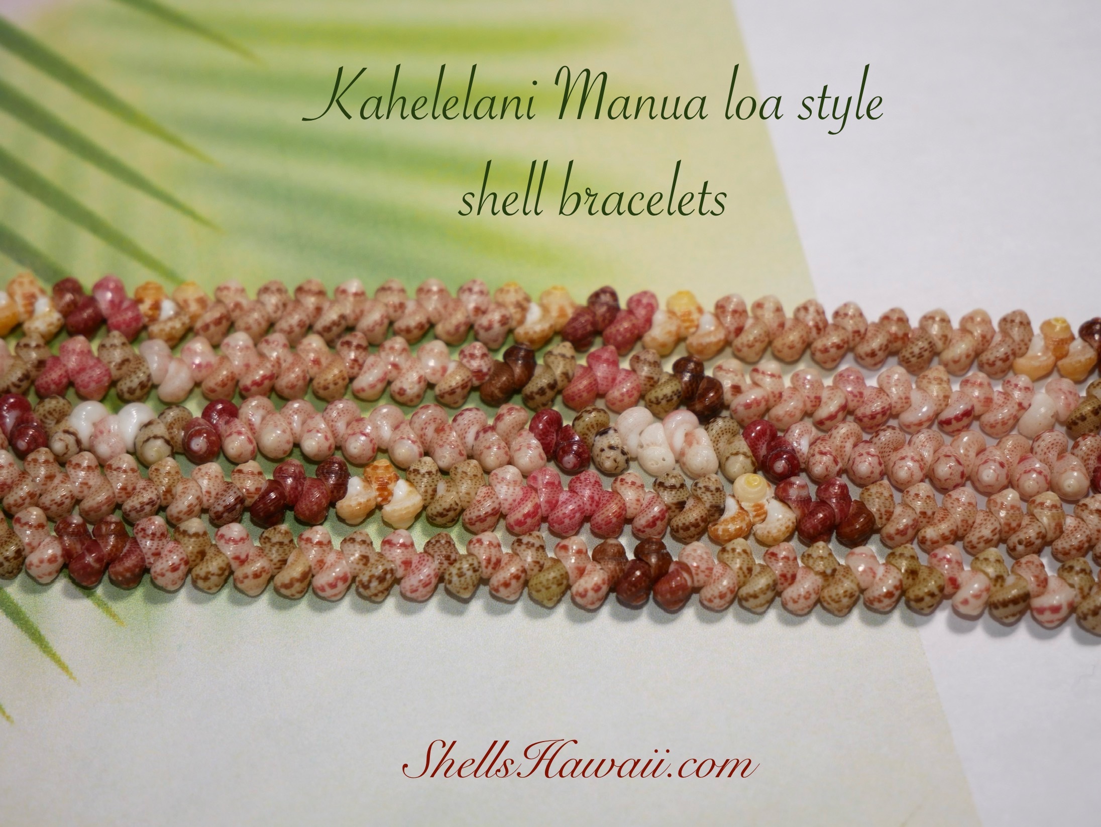 Examples of traditional Niʻihau Kahelelani Manua Loa style shell bracelets showing proper hole placement and consistent shell alignment
