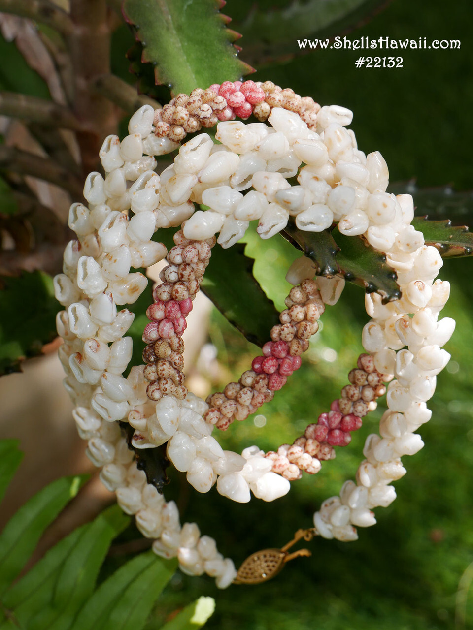 Handcrafted Niʻihau Kipona style shell lei featuring genuine Momi shells and Kahelelani shells in traditional Hawaiian shell jewelry design.
