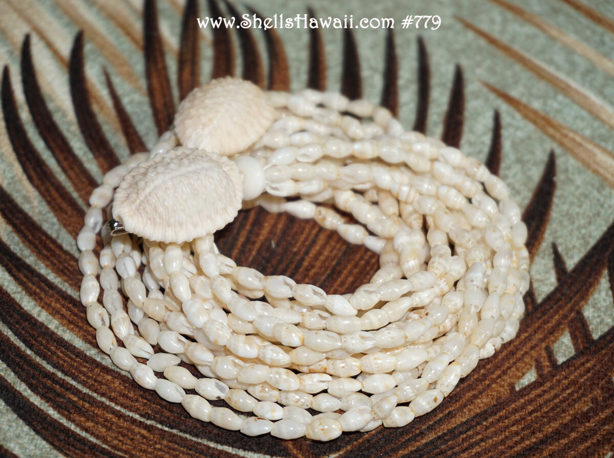 Mature off-white granulated cowrie shells used as clasps on a Niʻihau Laiki shell lei, showing their beautiful natural texture and lighter color.