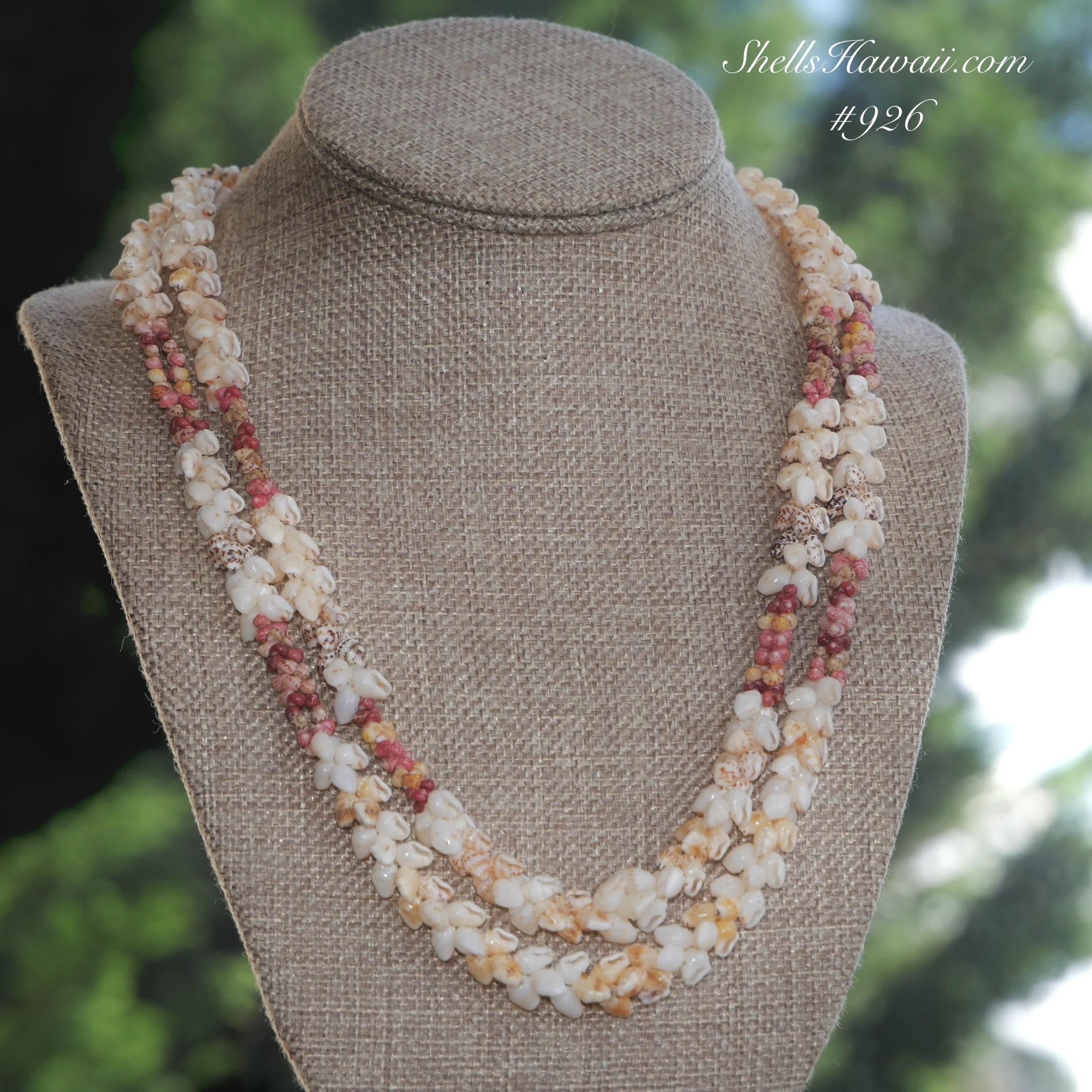 Niʻihau shell lei in double strand Momi Kipona style displayed on a necklace stand, featuring a mix of shell types including white Momi keʻokeʻo maika&lsquo;i, spotted Momi ʻonikiniki, yellow Momi lenalena, and accent Kahelelani shells in pink, green, yellow, burgundy, and natural tones, showing the signature Kipona design where multiple shell types are combined into one harmonious piece, measuring approximately 19 1/4" and 21" before the clasp, and finished with a granulated cowrie shell clasp, highlighting traditional Hawaiian shell jewelry craftsmanship and natural color variation.