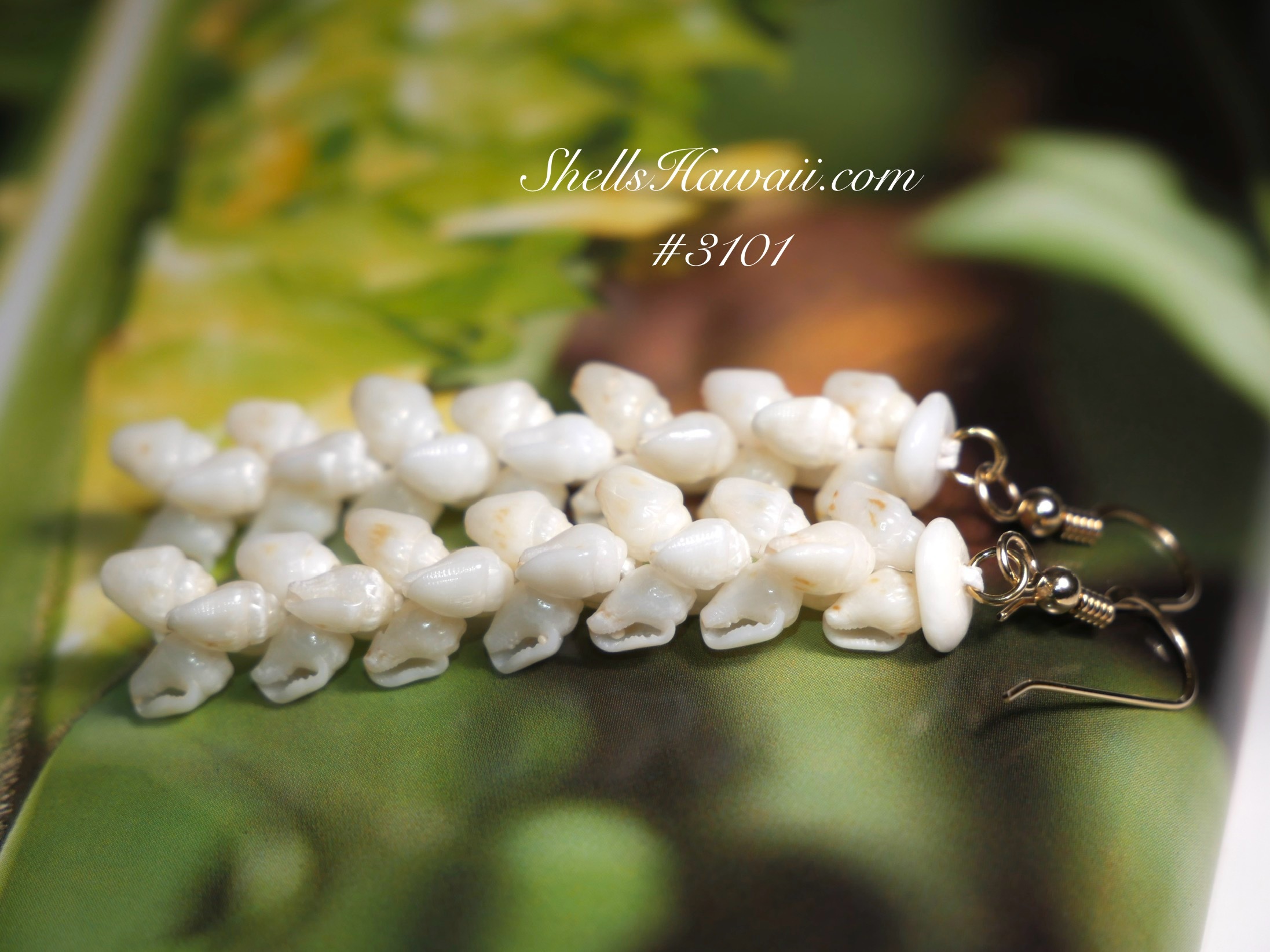 Close-up of finished Niʻihau Momi shell earrings after the sand has been fully removed from the waha, showing a clean, polished appearance where the shells&rsquo; natural color and luster stand out clearly.