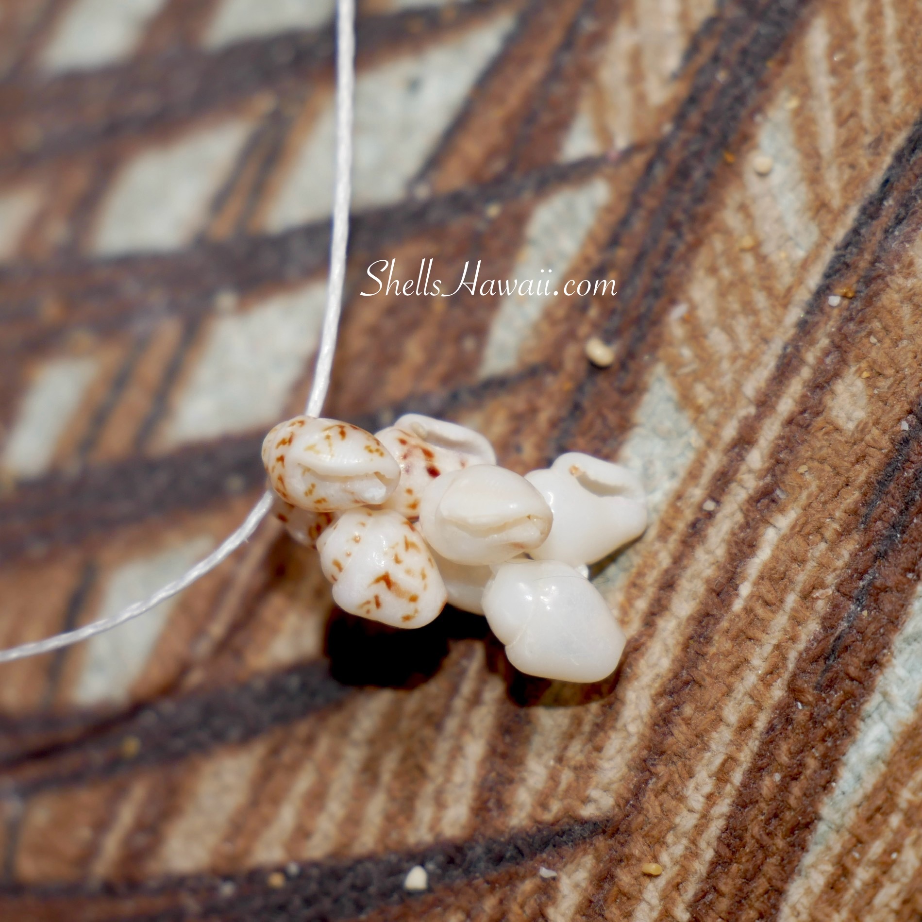 Close-up of Pikake style Niʻihau shell arrangement showing how the shells should look after tying, with balanced flow and evenly matched Momi shells in size, shape, and color