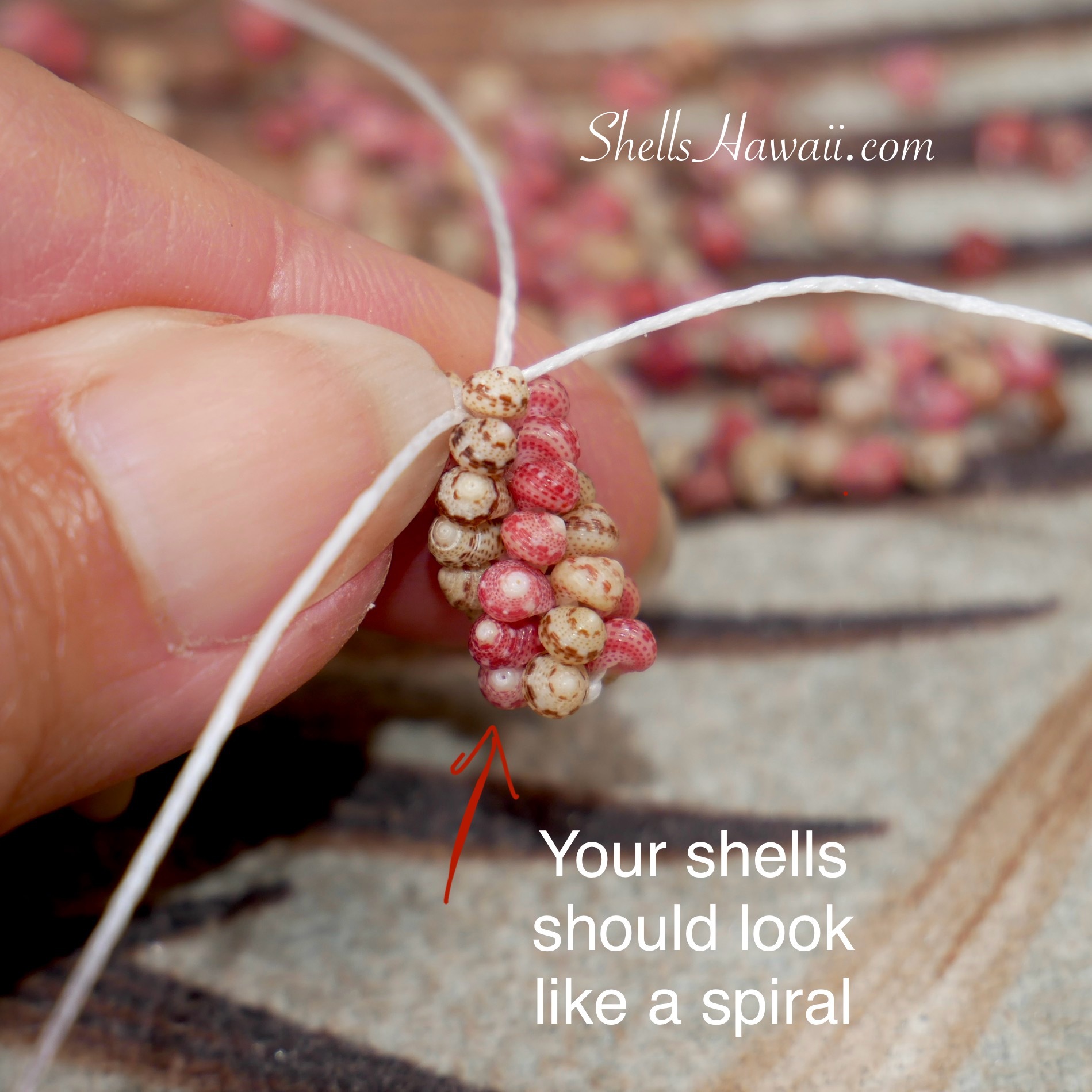 how to make poepoe style niihau shell jewelry with kahelelani 