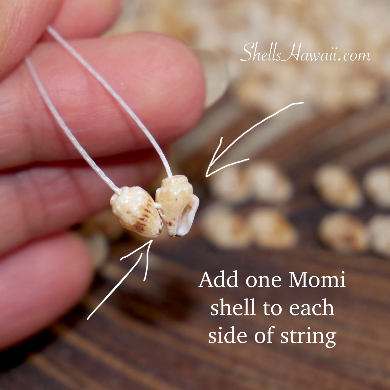 how to make Pikake style shell earrings with Momi shells 