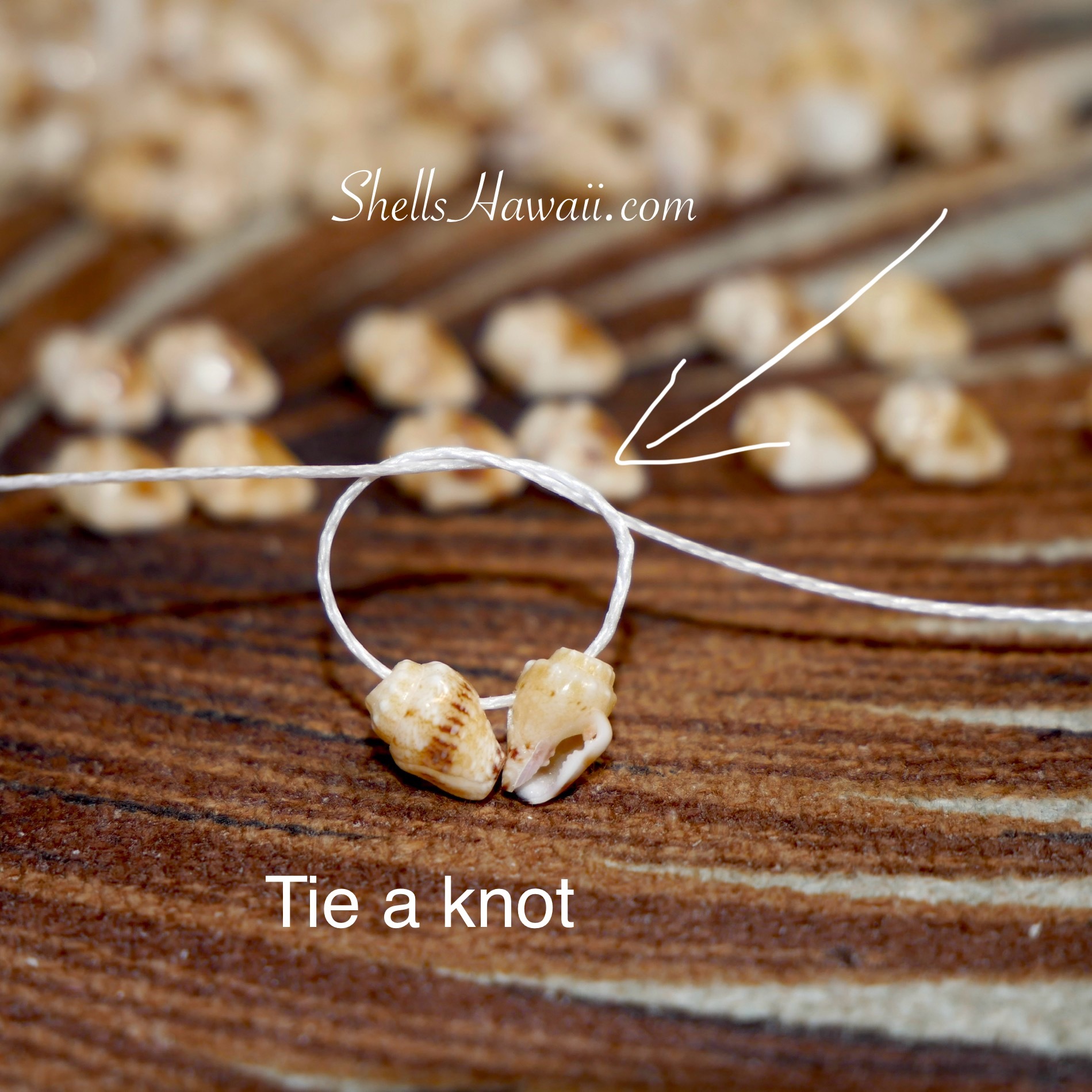 How to make single pikake style earrings with momi shells