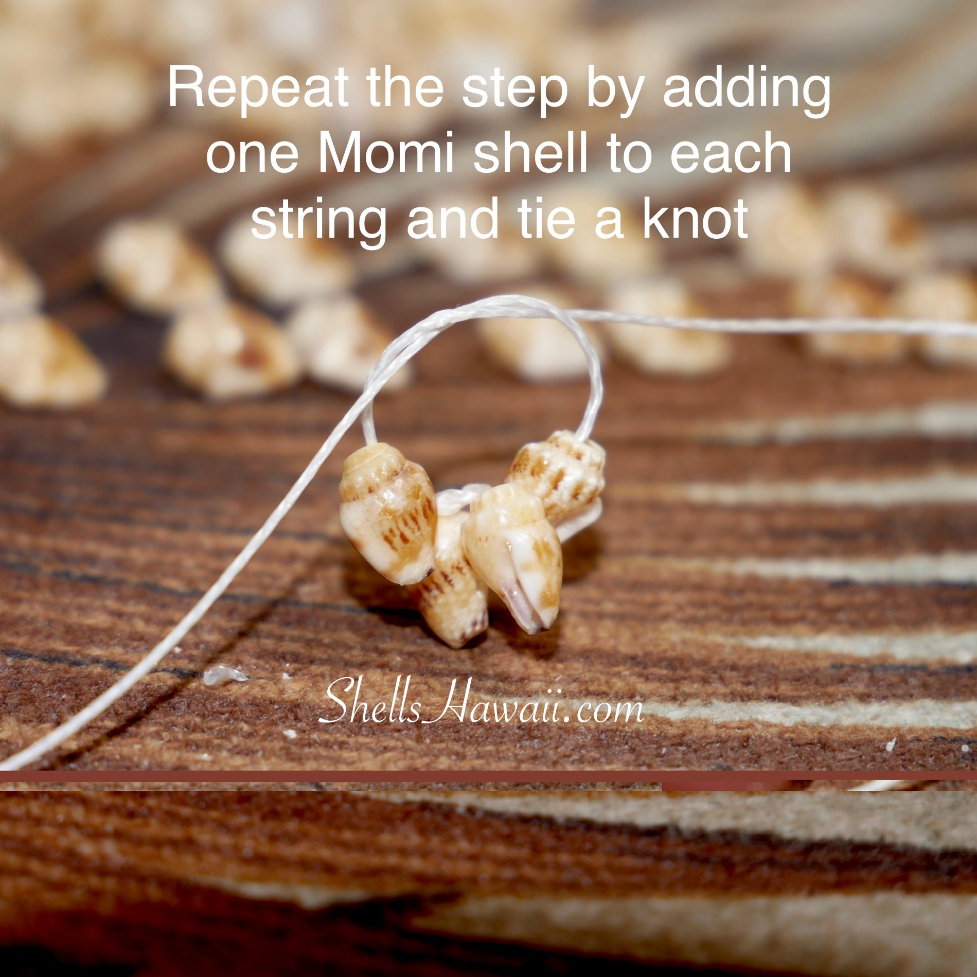 how to make niihau pikake style shell earrings with Momi shells