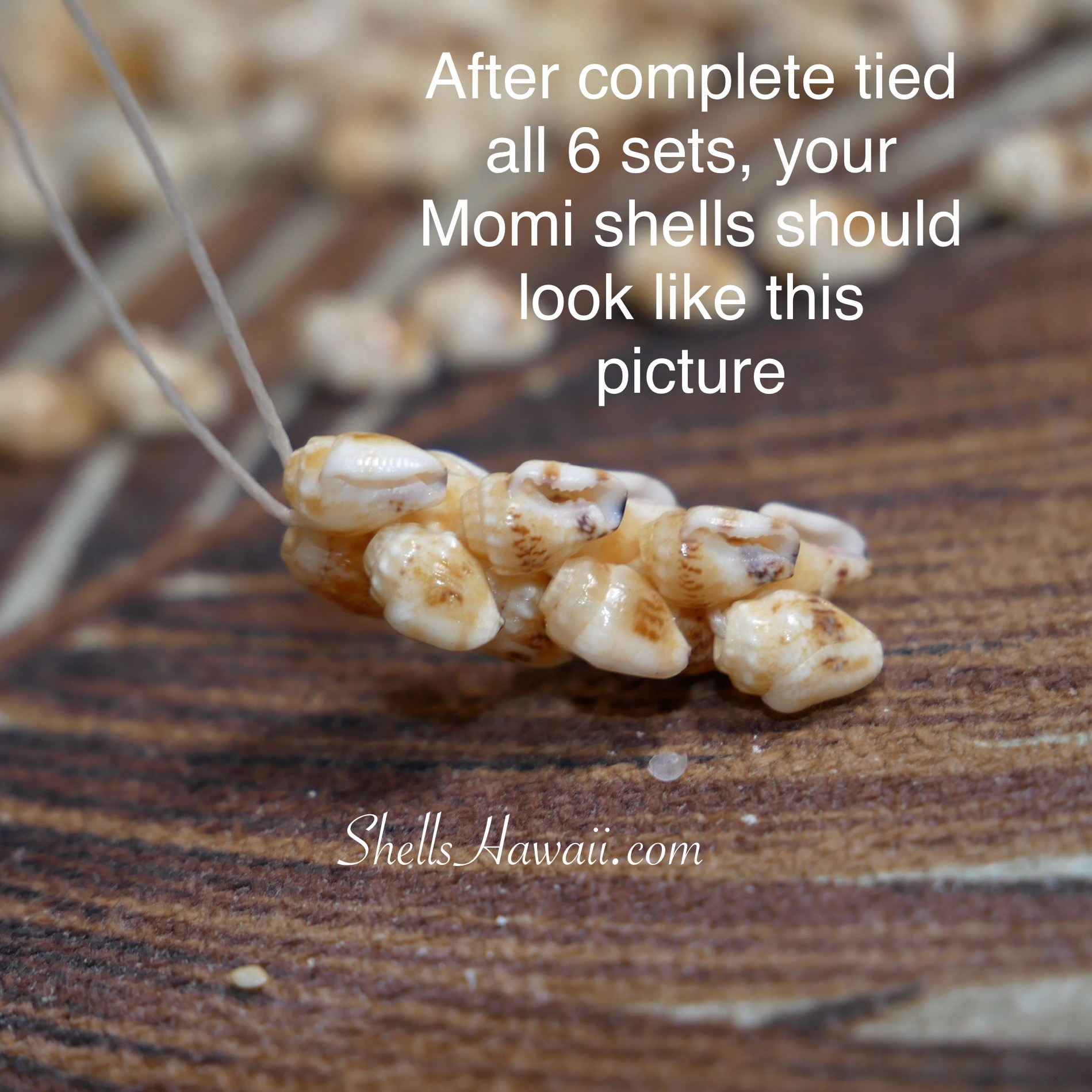 how to make momi pikake style shell earrings