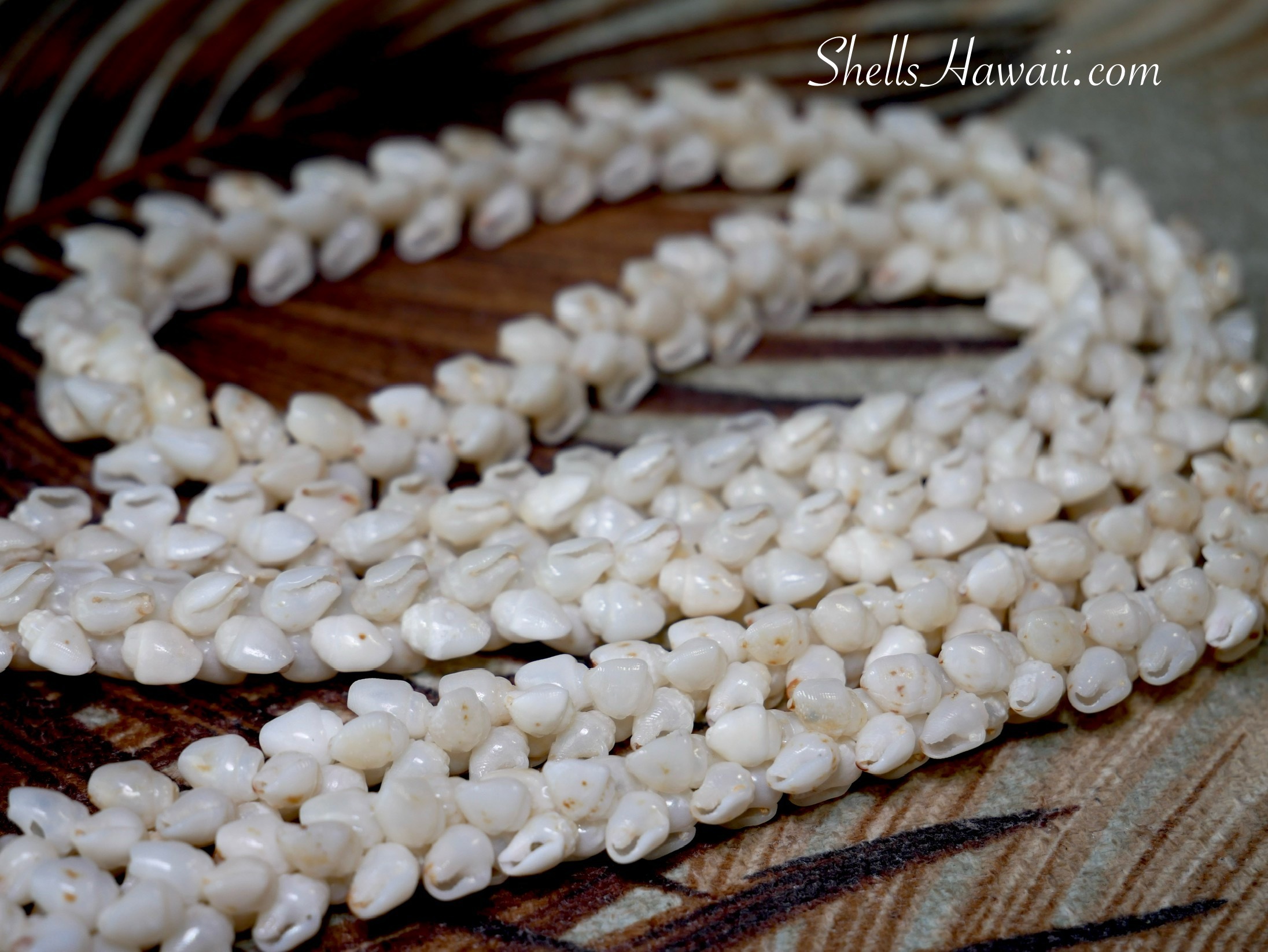 Single Pīkake style Niʻihau shell jewelry made with Momi shells, showing a soft braided pattern with smooth, side-by-side shells forming a gentle, flowing floral look on a black background