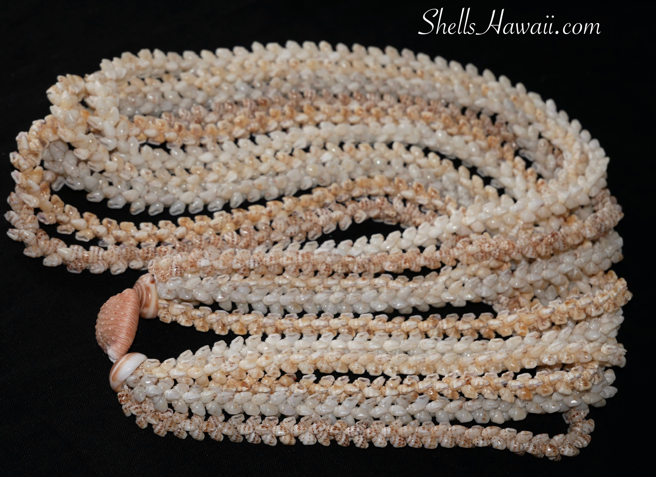 Momi shell lei, niihau shell necklace 