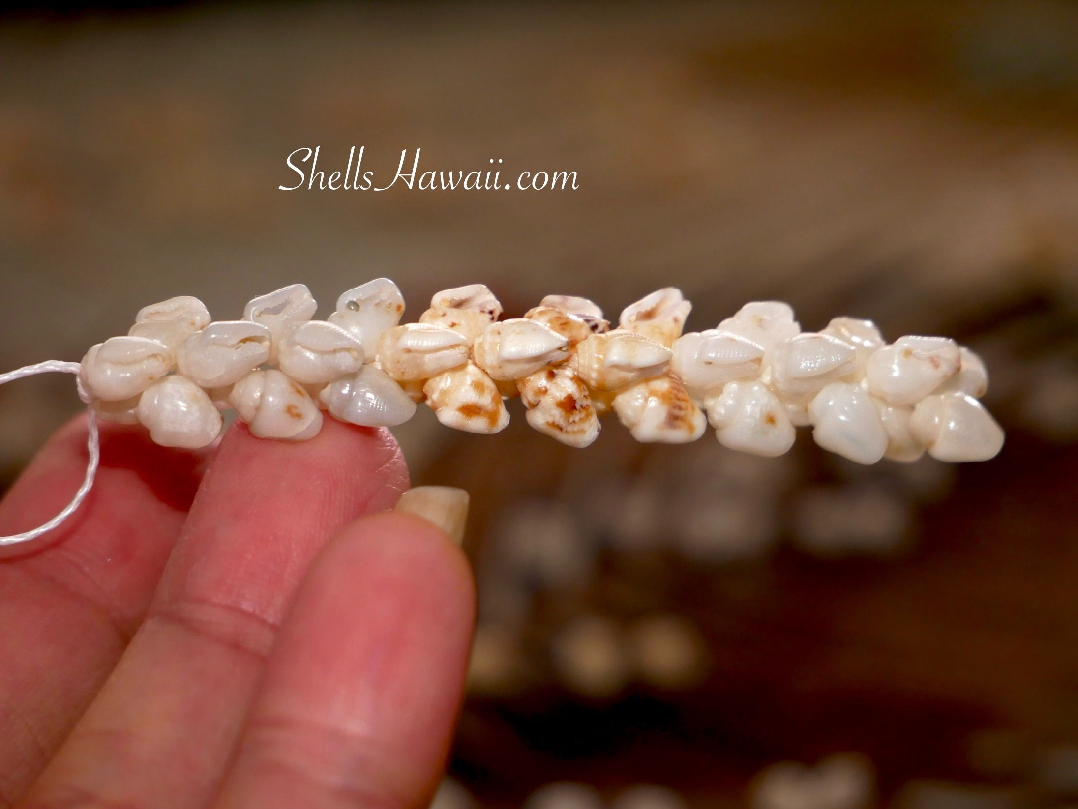 Pikake style earrings